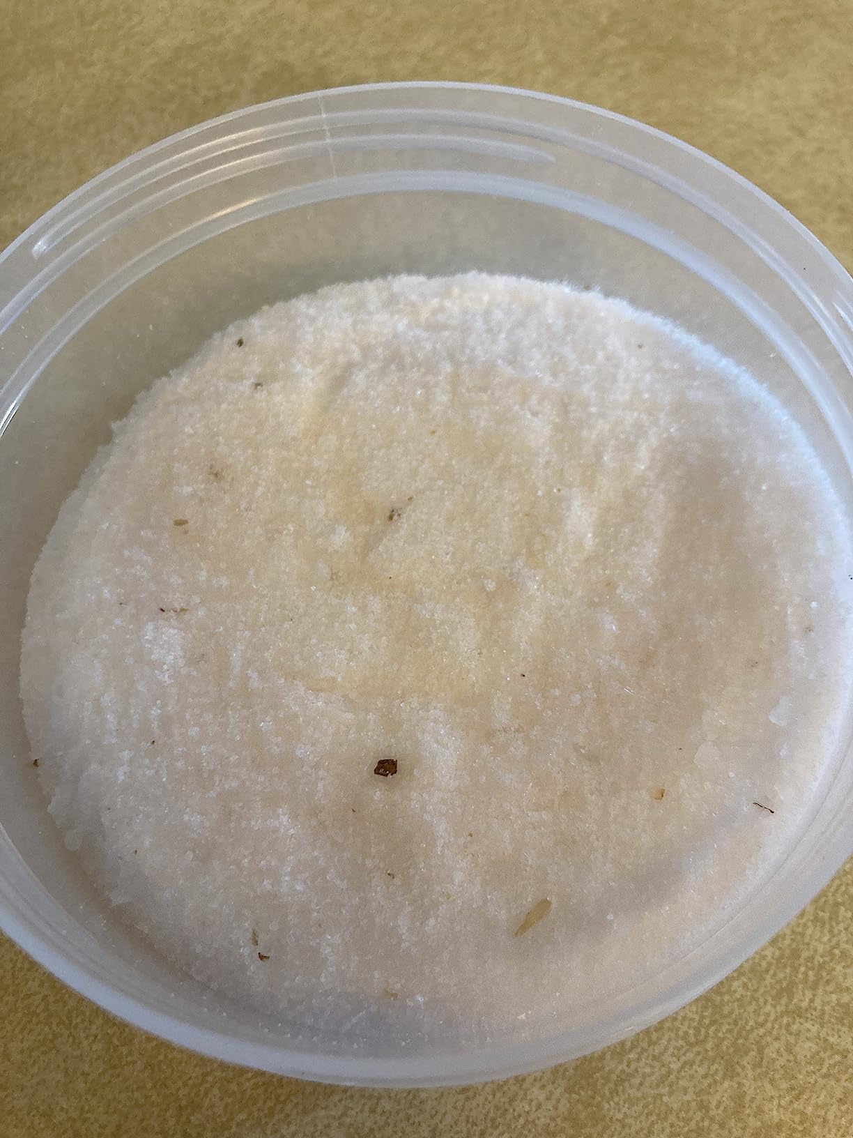 LAVA Premium Margarita Lime Sea Salt Cocktail Rimmer, All Natural Margarita Rimmer Sea Salt Rocks, Real Lime, Tart & Sour, No Silicon Dioxide, with Easy Screw-On Lid - 6oz customer photo 2