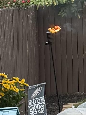 TIKI Horizon Outdoor Torch Outdoor Lighting Weather-Resistant Décor customer photo 2
