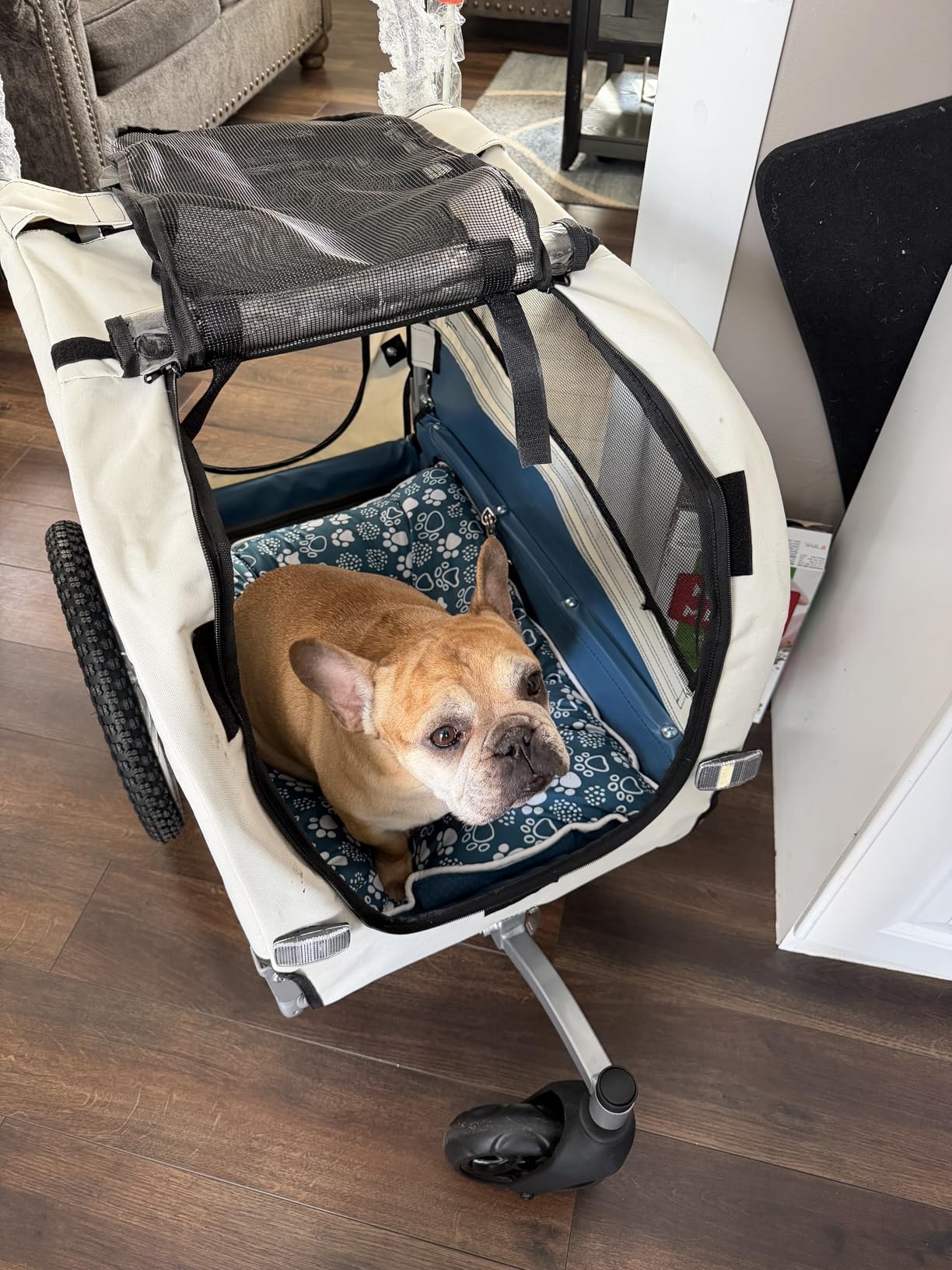 Sepnine 2 in 1 Pet Bicycle Trailer with a 6