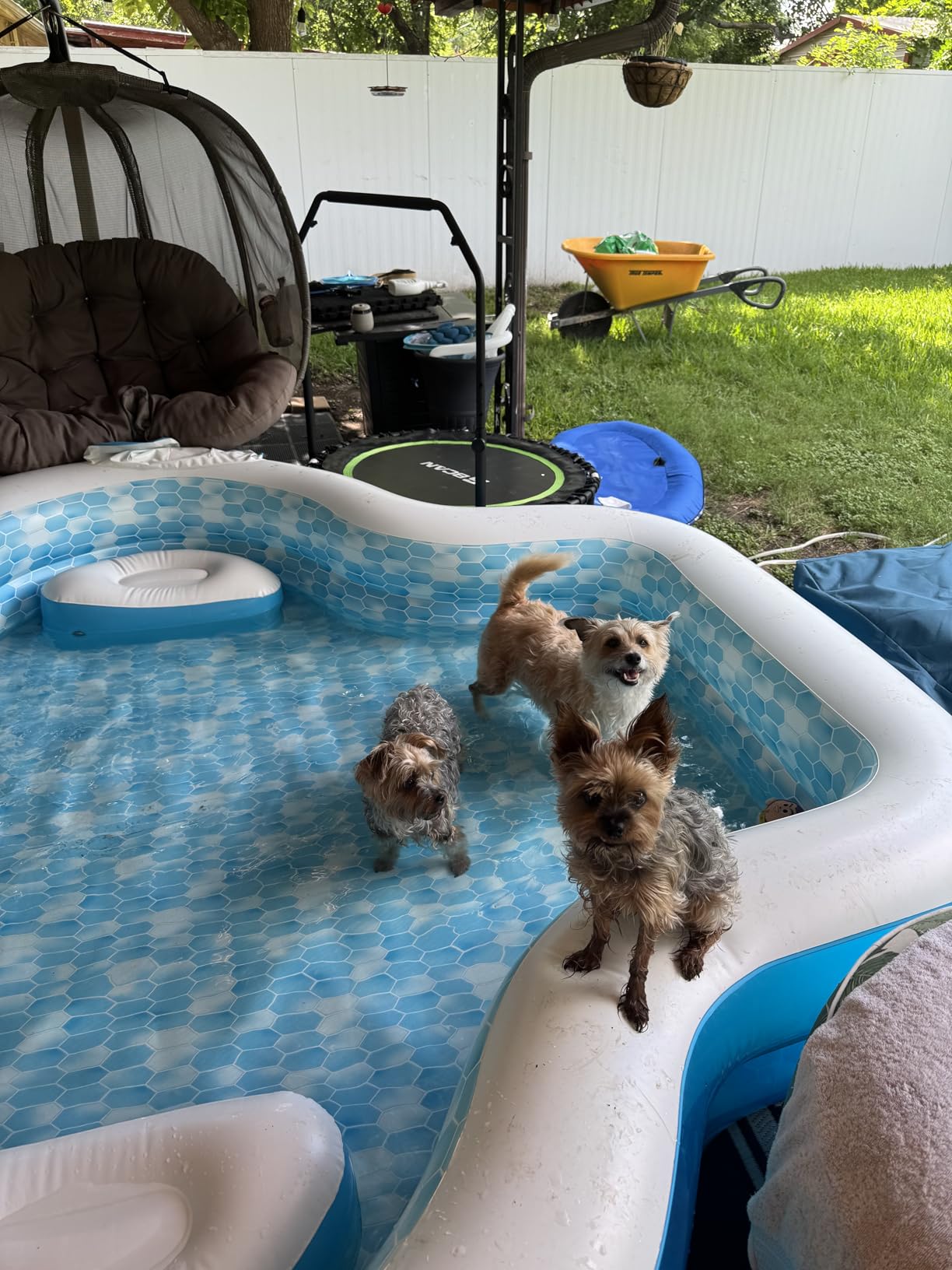 Members Mark Elegant Family Pool 10 Feet Long 2 Inflatable Seats with Backrests. New Version customer photo 2