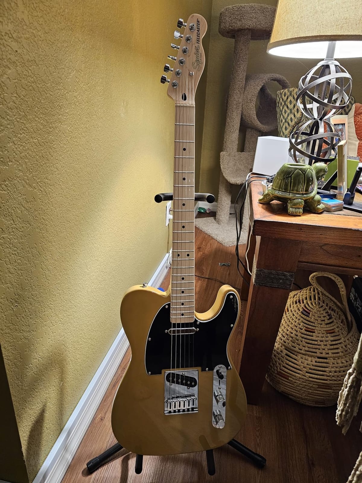 Squier Affinity Series Telecaster Electric Guitar, with 2-Year Warranty, Butterscotch Blonde, Maple Fingerboard customer photo 2