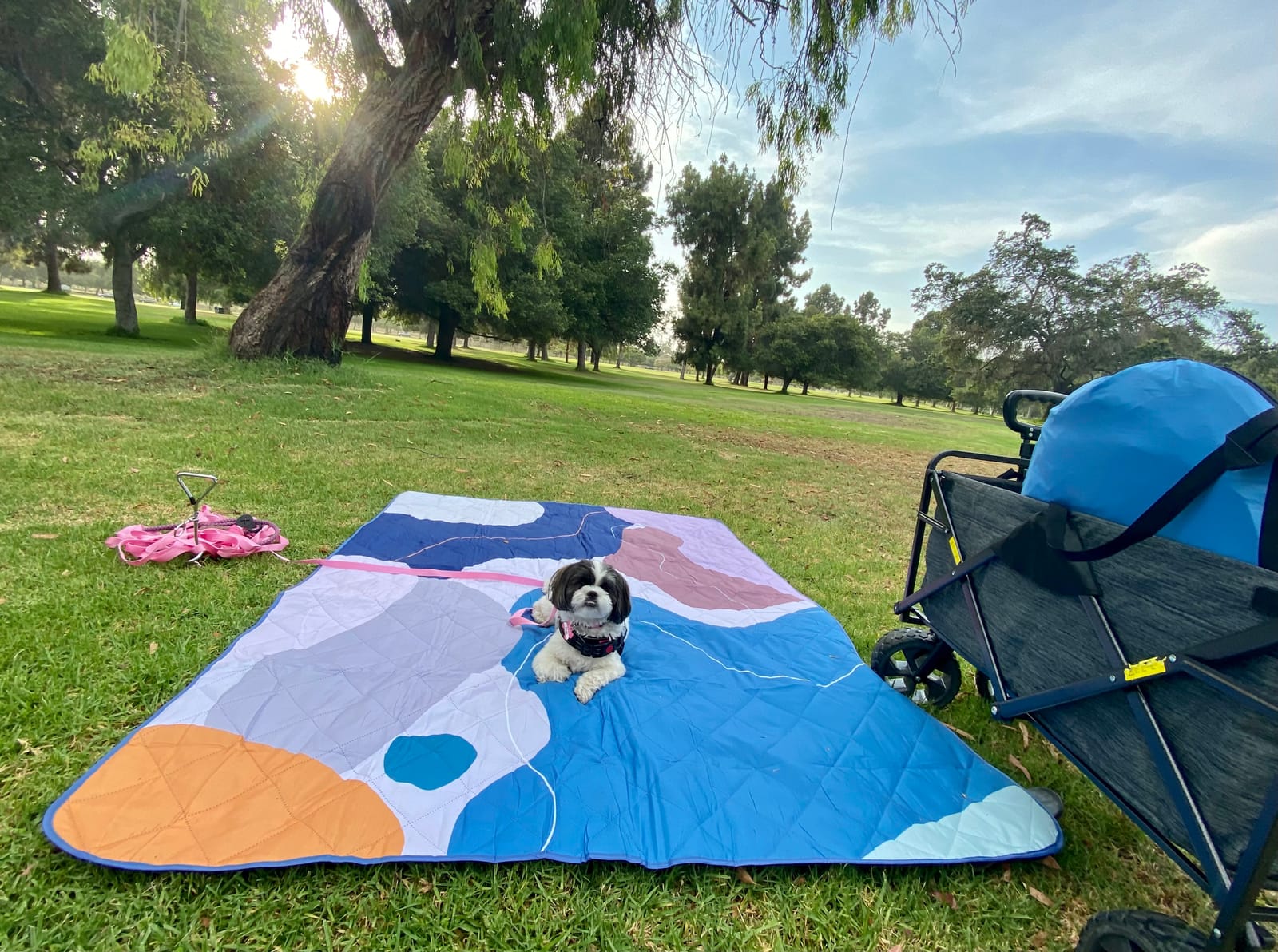 Exclusivo Mezcla Extra Large Waterproof Foldable Picnic Blanket customer photo 1