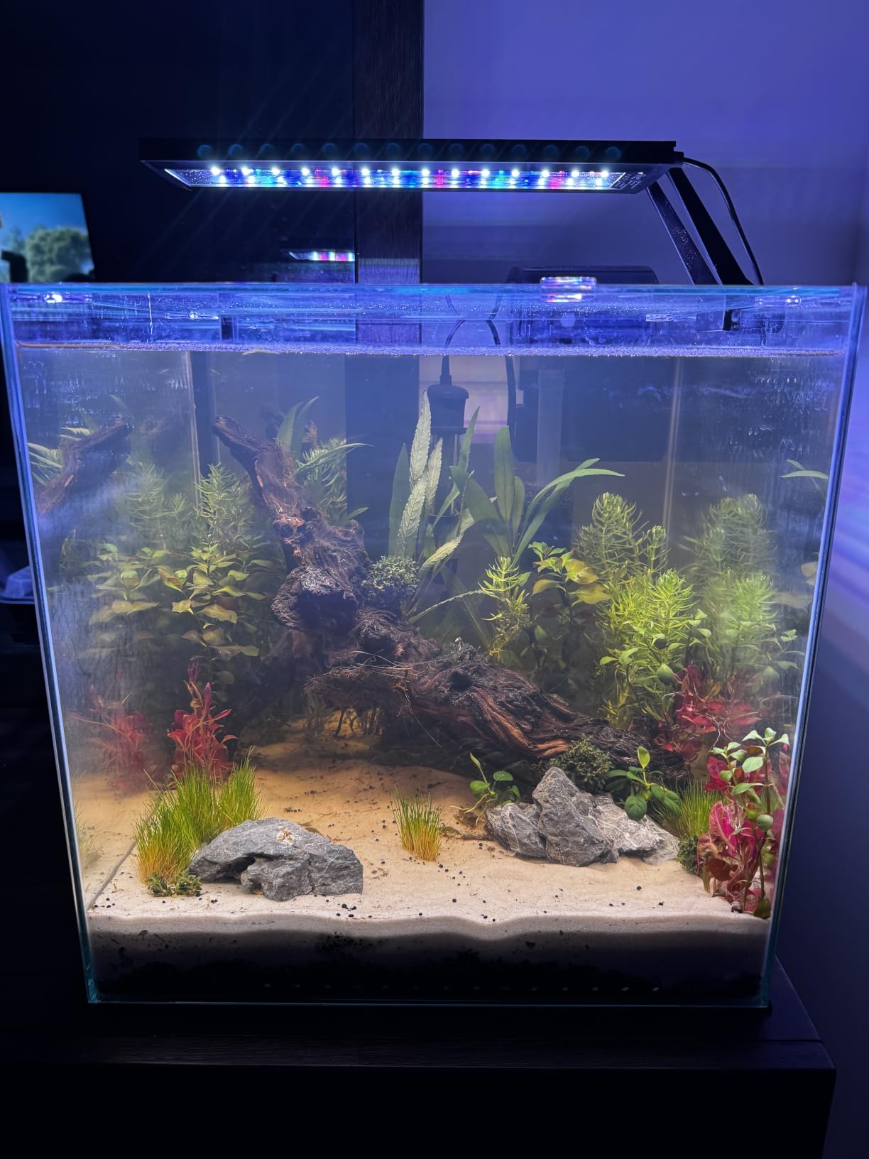 hygger Clip On 24/7 Lighting Aquarium LED Light, Sunrise-Daylight-Moonlight and DIY Mode, Adjustable Timer/Brightness Fish Tank Light with 7 Colors for Planted Tank (14W for 12~20in Tank) customer photo 2
