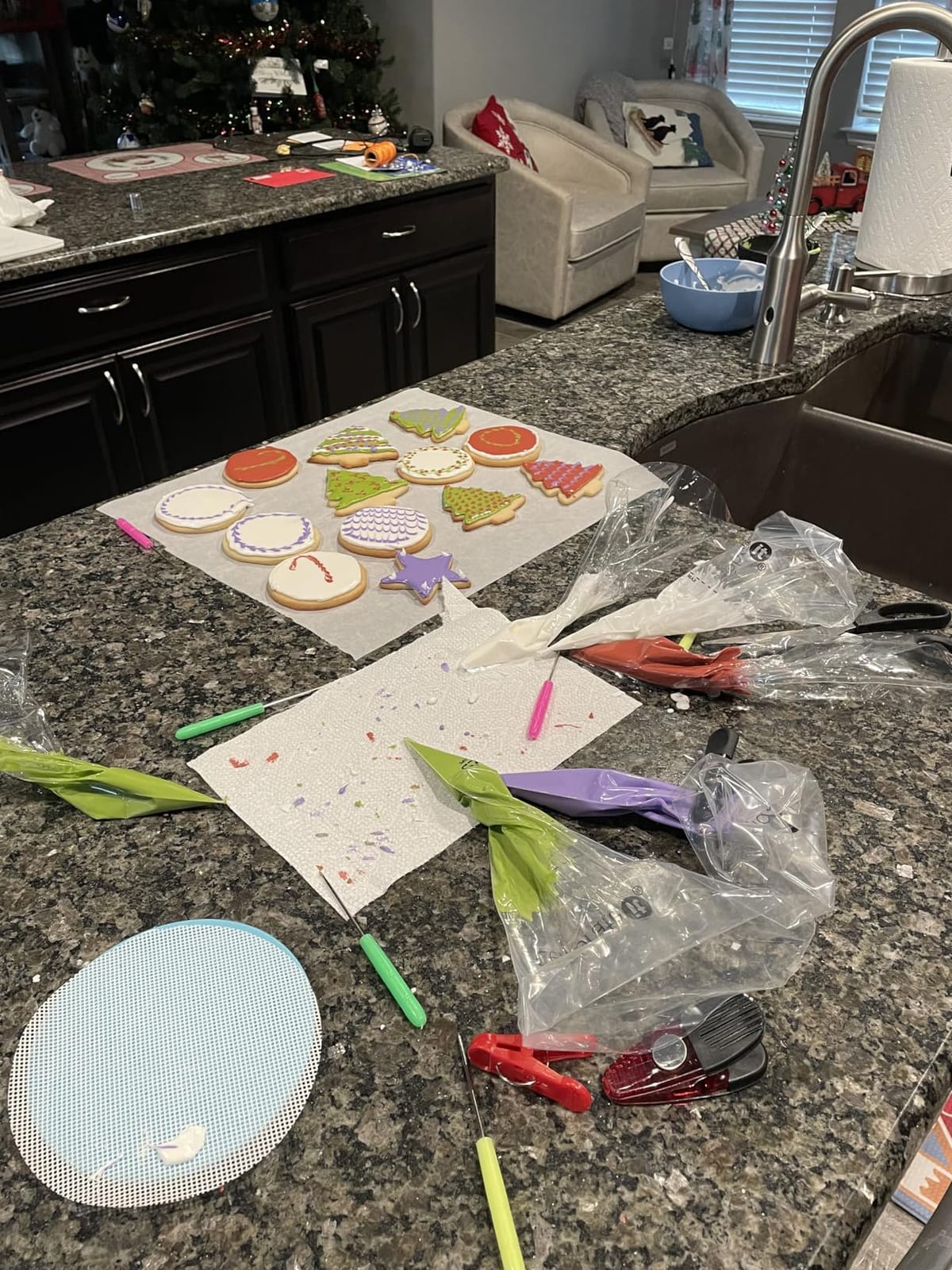 Cookie Decorating Kit Cookie Decorating Supplies with 1 Acrylic Turntable, 6 Cookies Fondant Brushes 6 Scribe Needle Royal Icing Tools customer photo 2