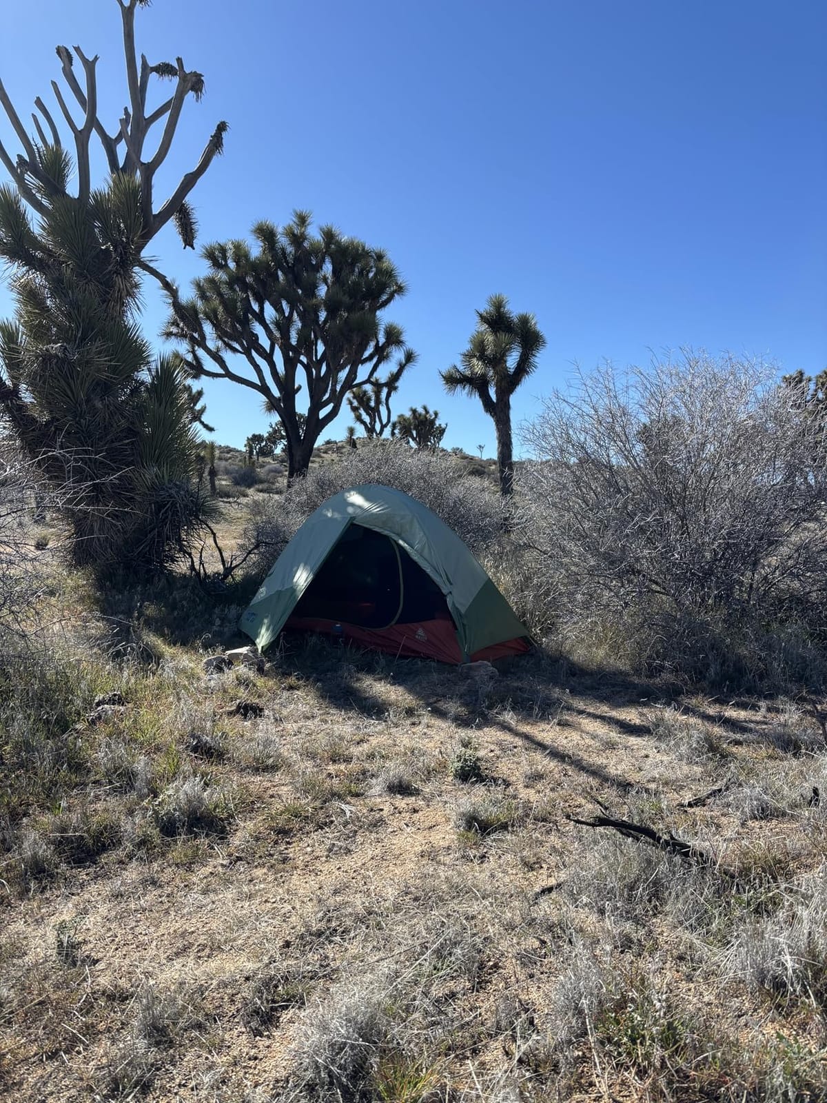 Kelty Discovery Trail Backpacking Tent, Waterproof Rainfly customer photo 2