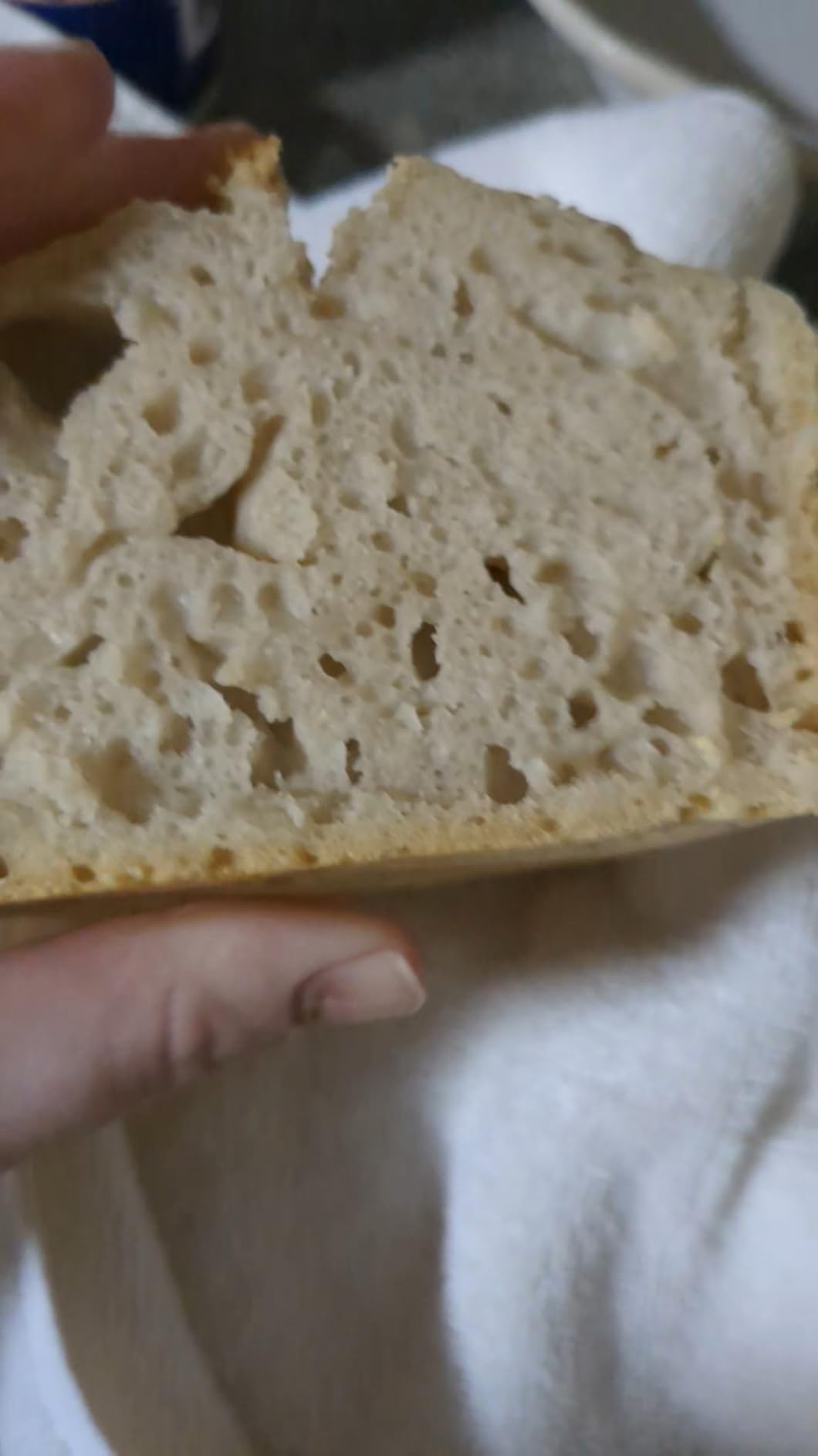 Lodge Pre-Seasoned Cast Iron Loaf Pan, PFAS-Free, 8.5 Inches customer photo 2