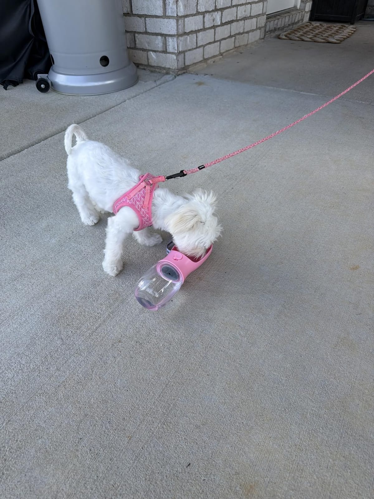 Cibaabo Dog Water Bottle Portable with Food Container & Filter for Travel customer photo 1