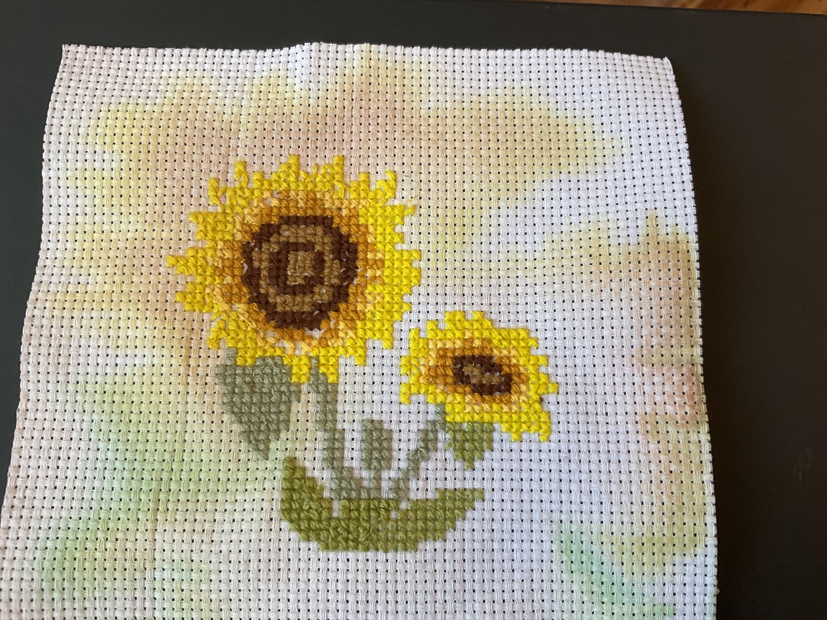 Stamped Cross Stitch Kits for Beginners Adults, Rose Poppy Pansy Sunflower customer photo 1