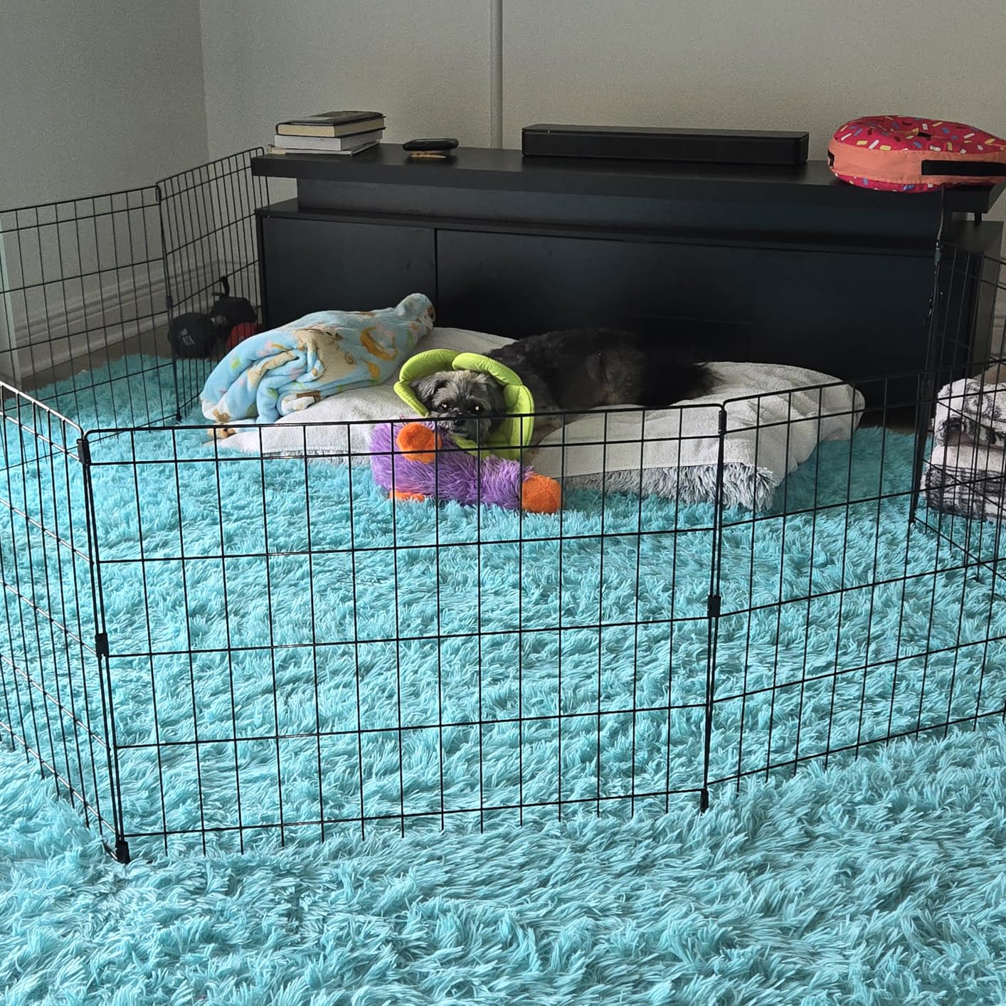 MidWest 18-Inch Exercise Pen, No Door, 16 Sq Ft Play Area customer photo 2