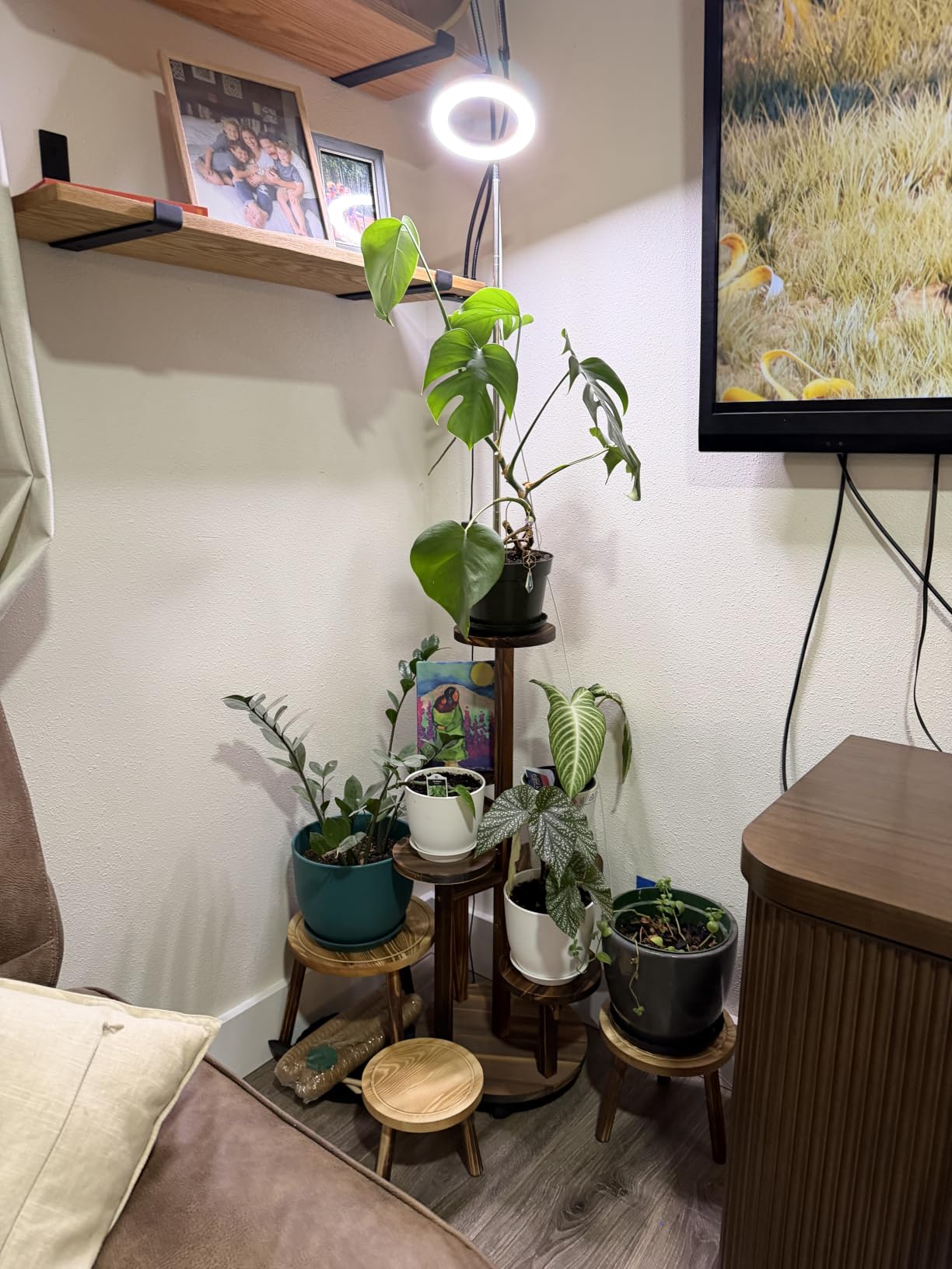 GEEBOBO 5 Tiered Tall Plant Stand for Indoor | Wood Plant Shelf Corner Display Rack, Multi-tier Planter Pot Holder Flower Stand for Living Room Balcony Garden Patio, Brown customer photo 1