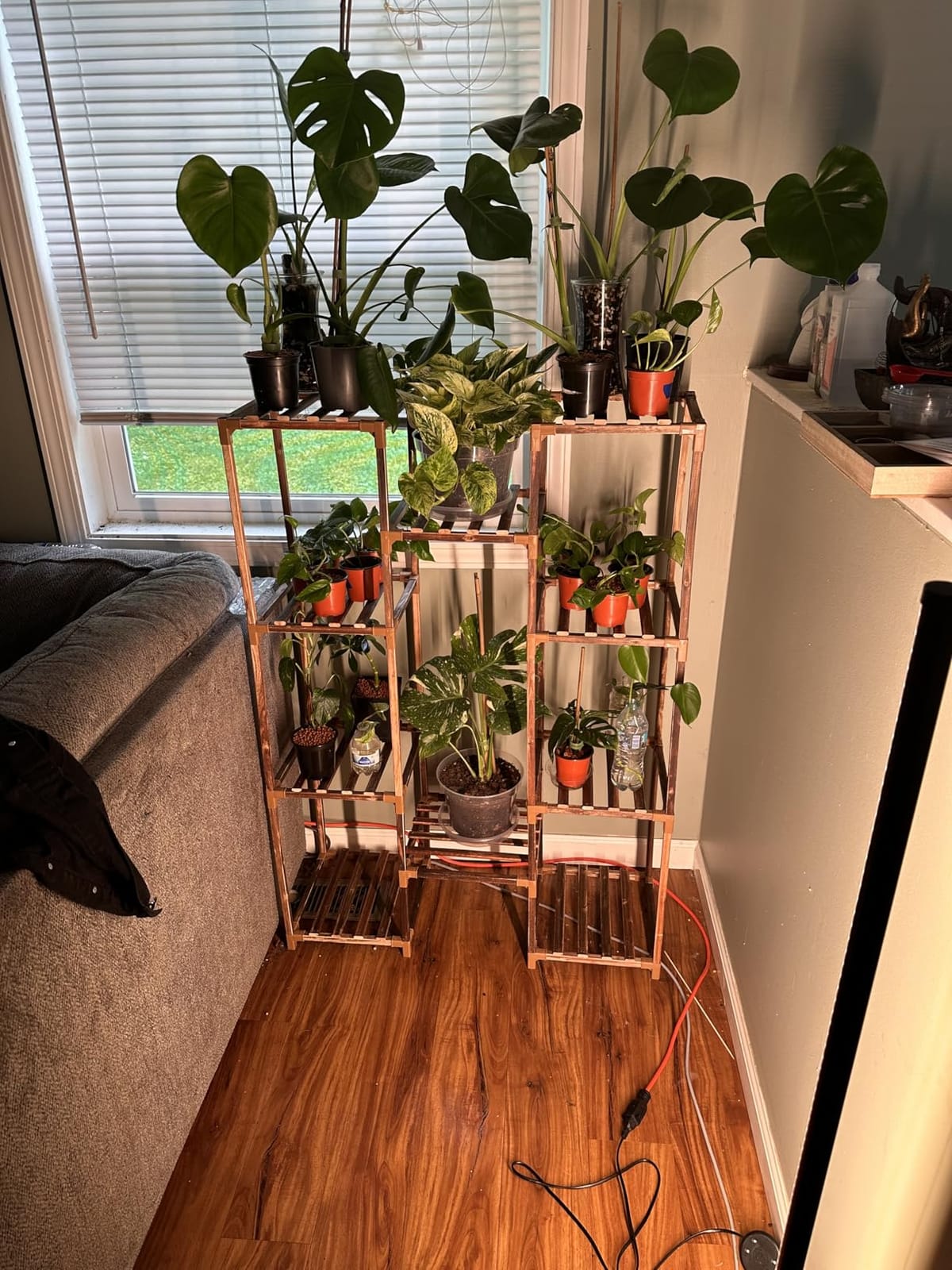 Uneedem Plant Stand Indoor Outdoor, 10 Tiered Plant Shelf Wood Plant Rack | Tall Plant Holder for Multiple Plants, Large Ladder Flower Stands for Living Room Patio Balcony Garden Corner Display customer photo 1