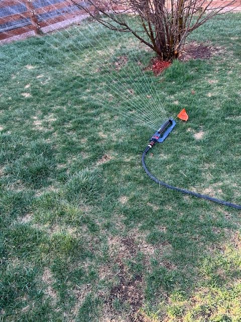 Eden 96213 Weighted Essential Oscillating Sprinkler | Covers Up to 3,600 sq. ft., 16 Precision Nozzles, Adjustable Range, Turbo Drive Motor, Quick Connect Bundle, Stainless Steel Filters, Black customer photo 2