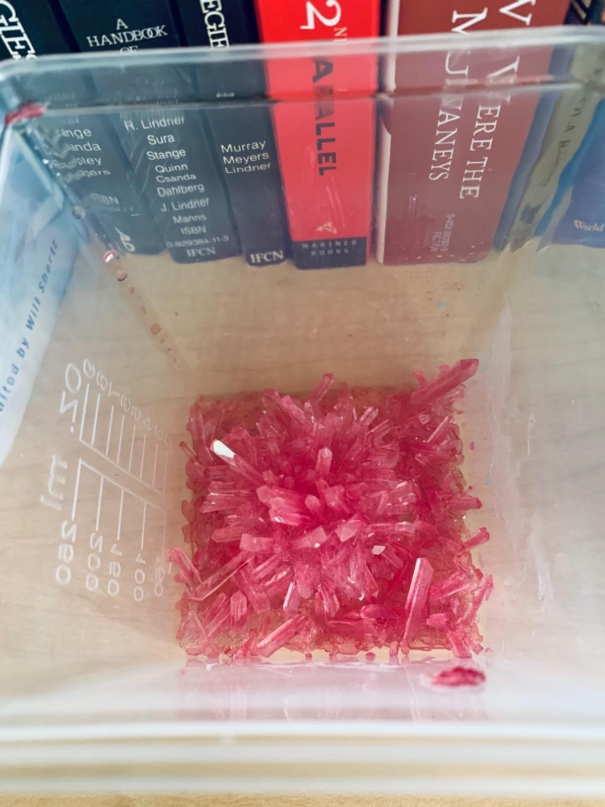 Light-up Crystal Growing Kit for Kids - Science Kits for Kids Age 8-12 - 6 7 8 9 10 Year Old Boy Birthday Gifts - Gifts for Girls - STEM Toys for 7 Year Old Boys, Experiment Crafts for Age 10-12 Years customer photo 1