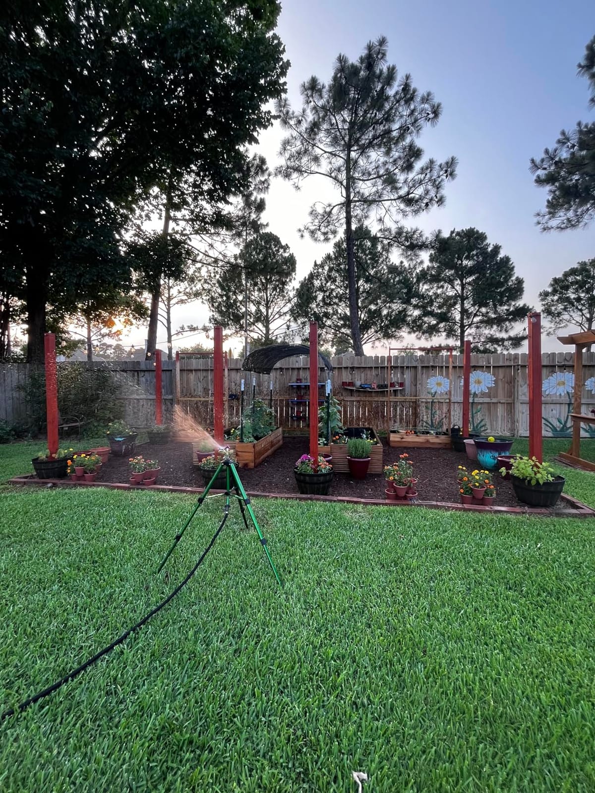 Hourleey Impact Sprinkler on Tripod Base, 2 Pack Heavy Duty Sprinklers for Lawn Yard Garden, 0-360 Degree Large Area Coverage, 3/4 Inch Connector Extension Legs Flip Locks with Brass Head customer photo 2