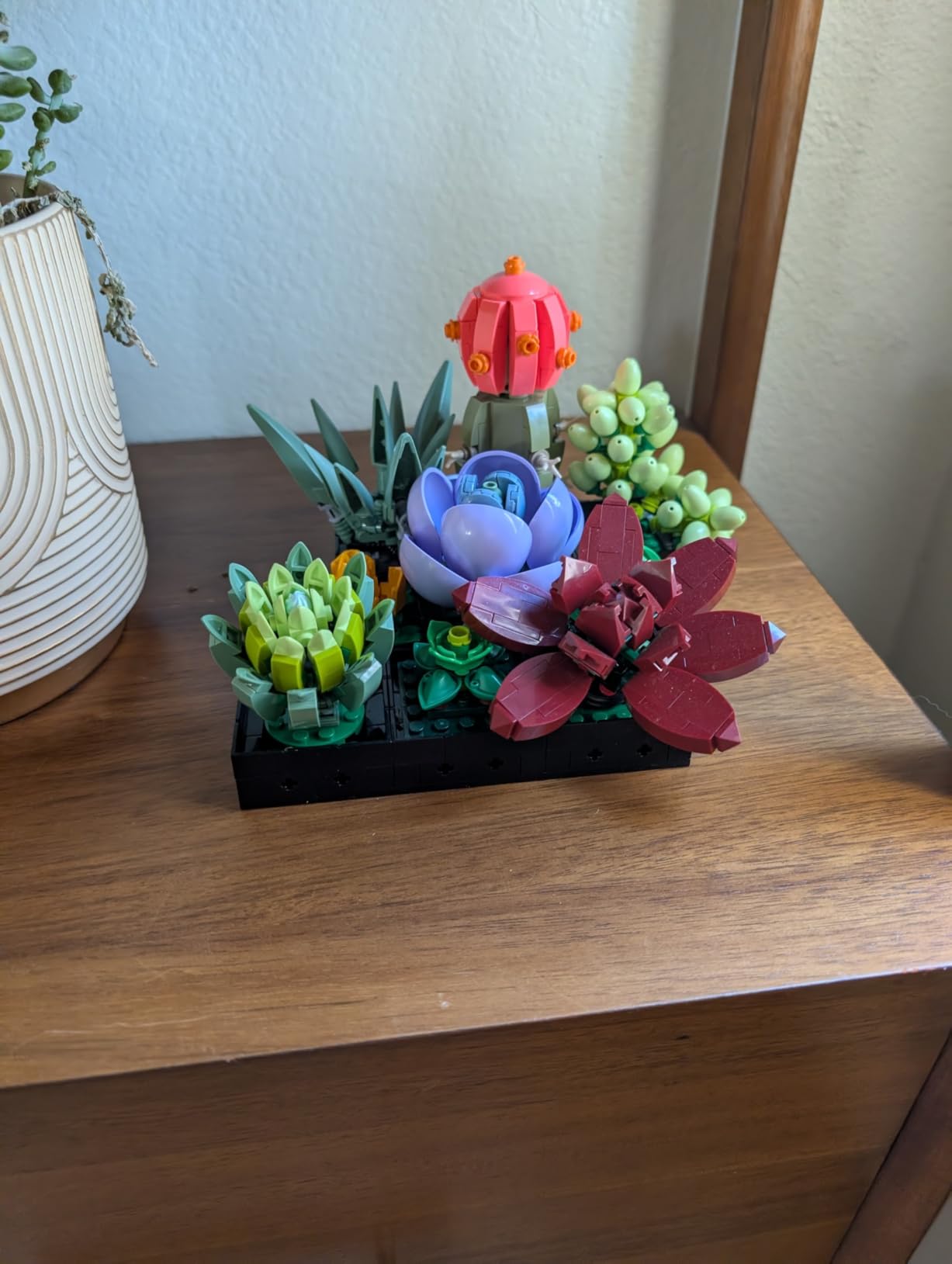 LEGO Botanicals Succulents 10309 customer photo 1
