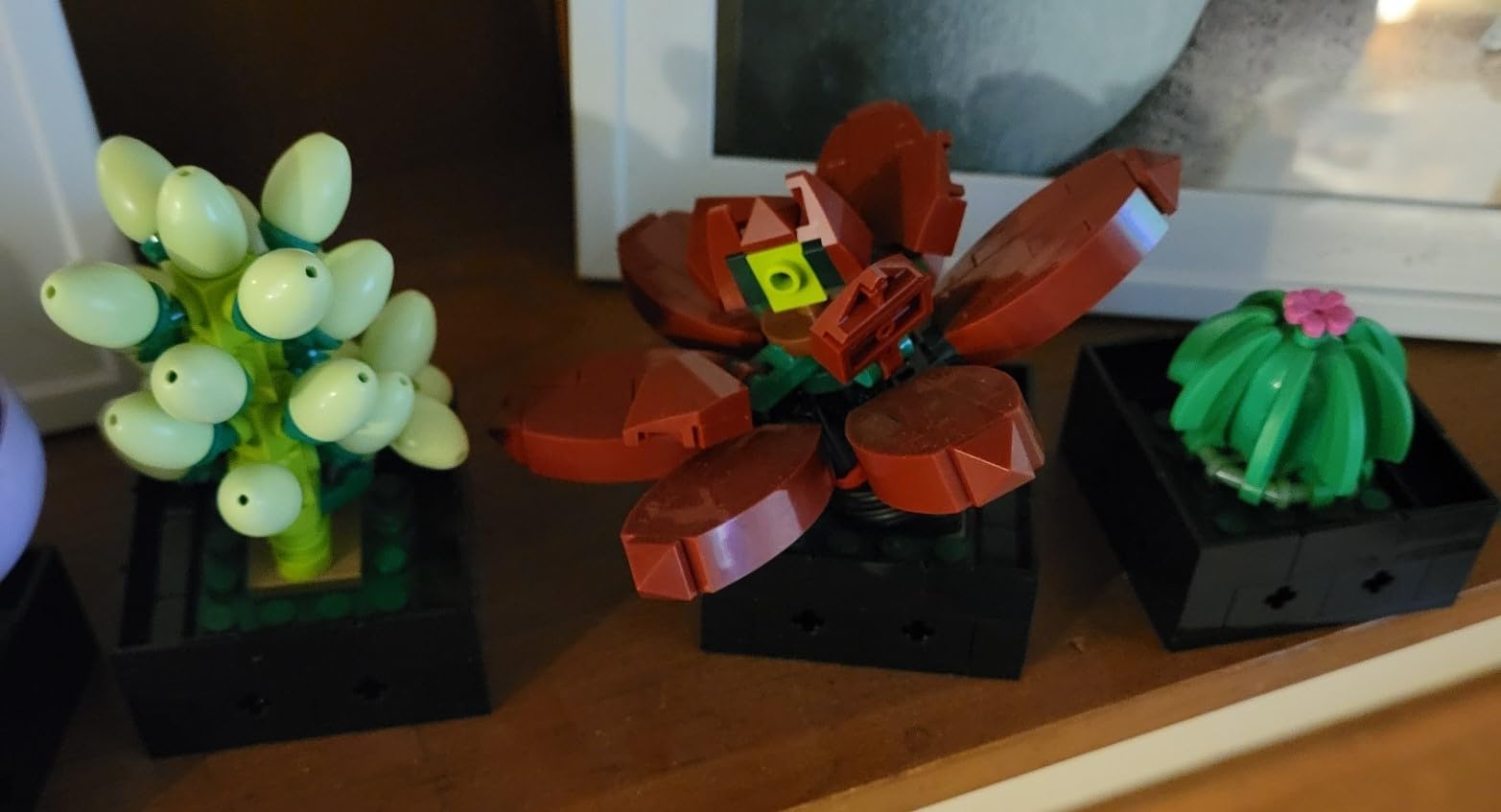 LEGO Botanicals Succulents 10309 customer photo 2