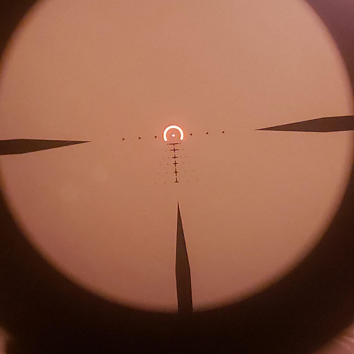 SIG SAUER Tango-MSR LPVO 1-6x24mm Waterproof Fogproof Hunting Riflescope customer photo 2