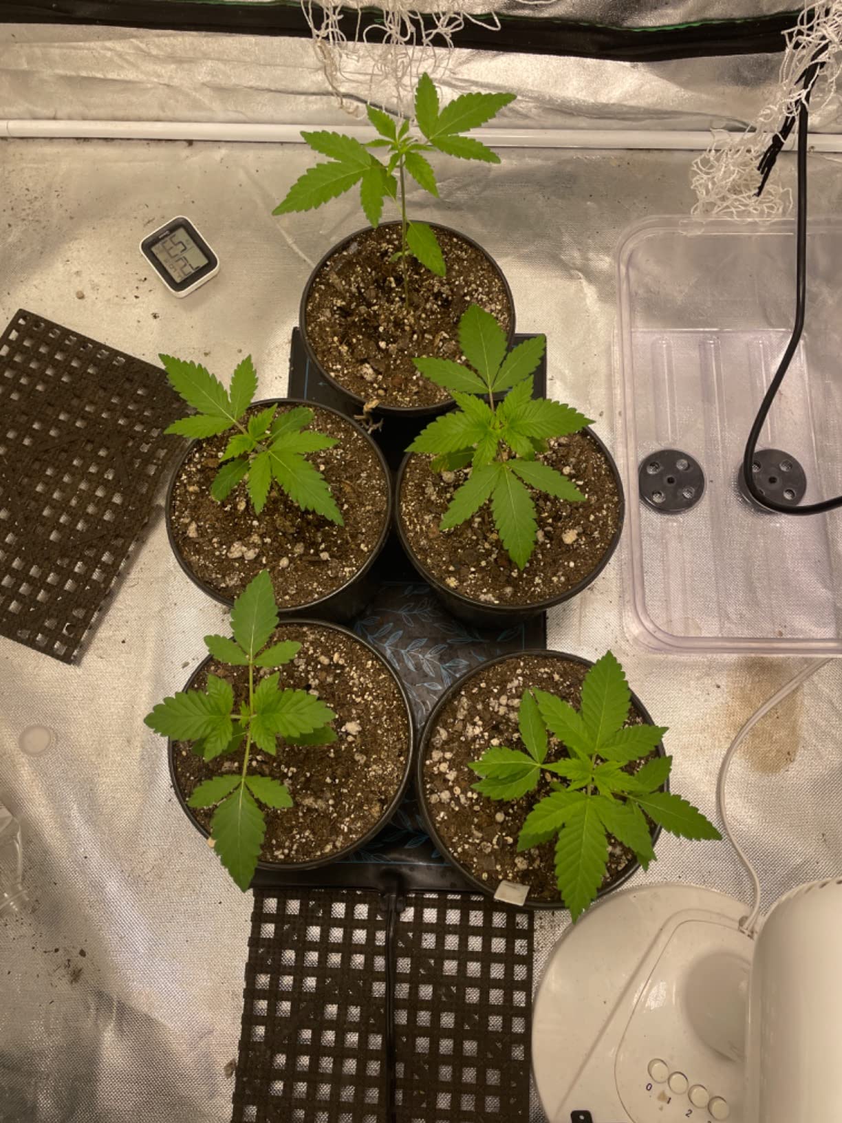 AC Infinity SUNCORE S3, Seedling Mat 10