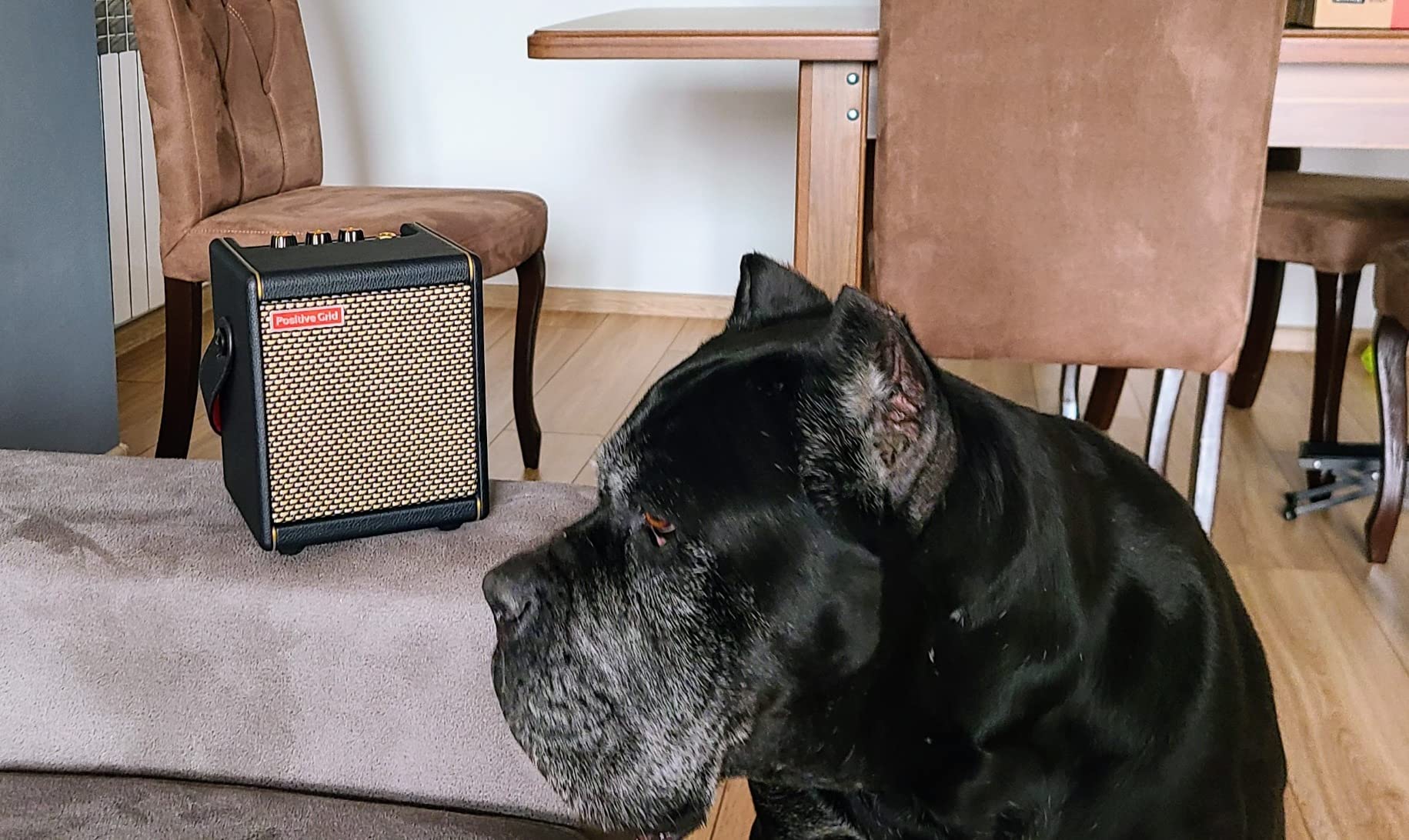 Positive Grid Spark MINI 10W Portable Smart Guitar Amp & Speaker (Black) | Portable amp & Bluetooth speaker for electric, acoustic & bass. 100k+ tones, Spark AI, Smart Jam, up to 8-hr battery customer photo 1