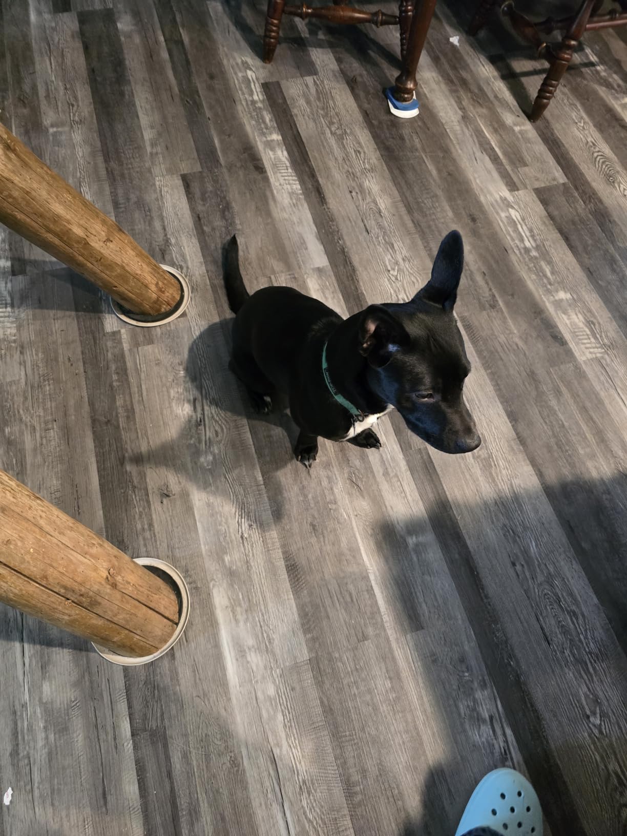 HOOBRO Dog Crate Furniture, 38.6