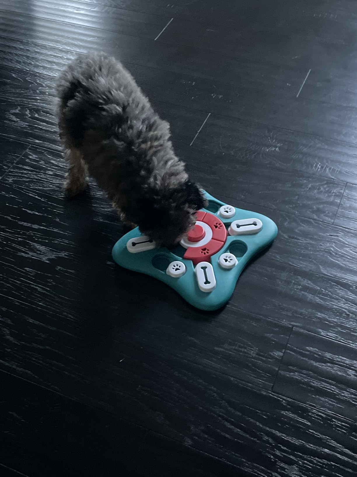 PETSTA Dog Puzzle Toys, Treat Dispensing Dog Enrichment Toys for IQ Training and Brain Stimulation, Interactive Mentally Stimulating Toys as Gifts for Puppies, Cats, Dogs customer photo 1