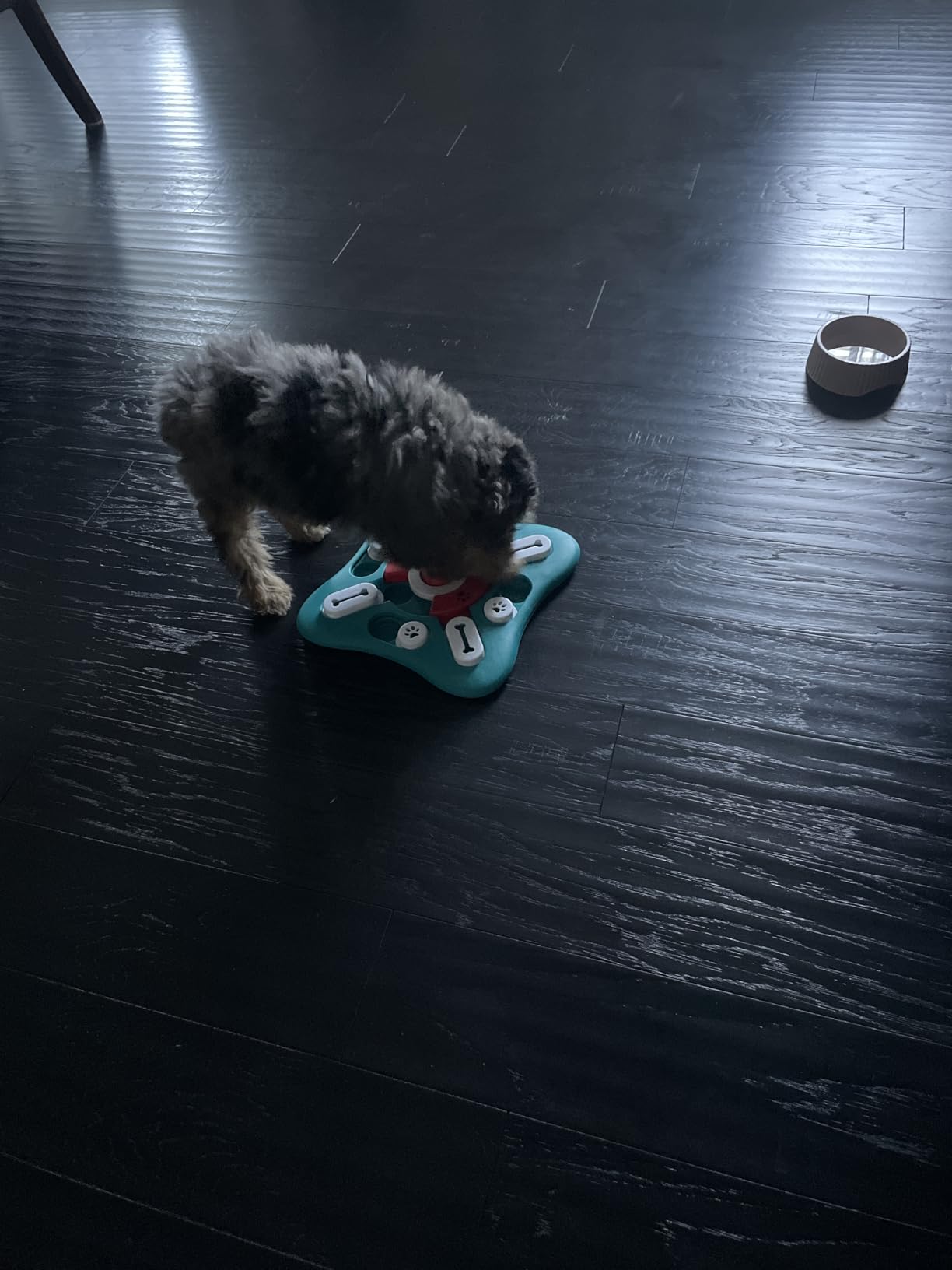PETSTA Dog Puzzle Toys, Treat Dispensing Dog Enrichment Toys for IQ Training and Brain Stimulation, Interactive Mentally Stimulating Toys as Gifts for Puppies, Cats, Dogs customer photo 2