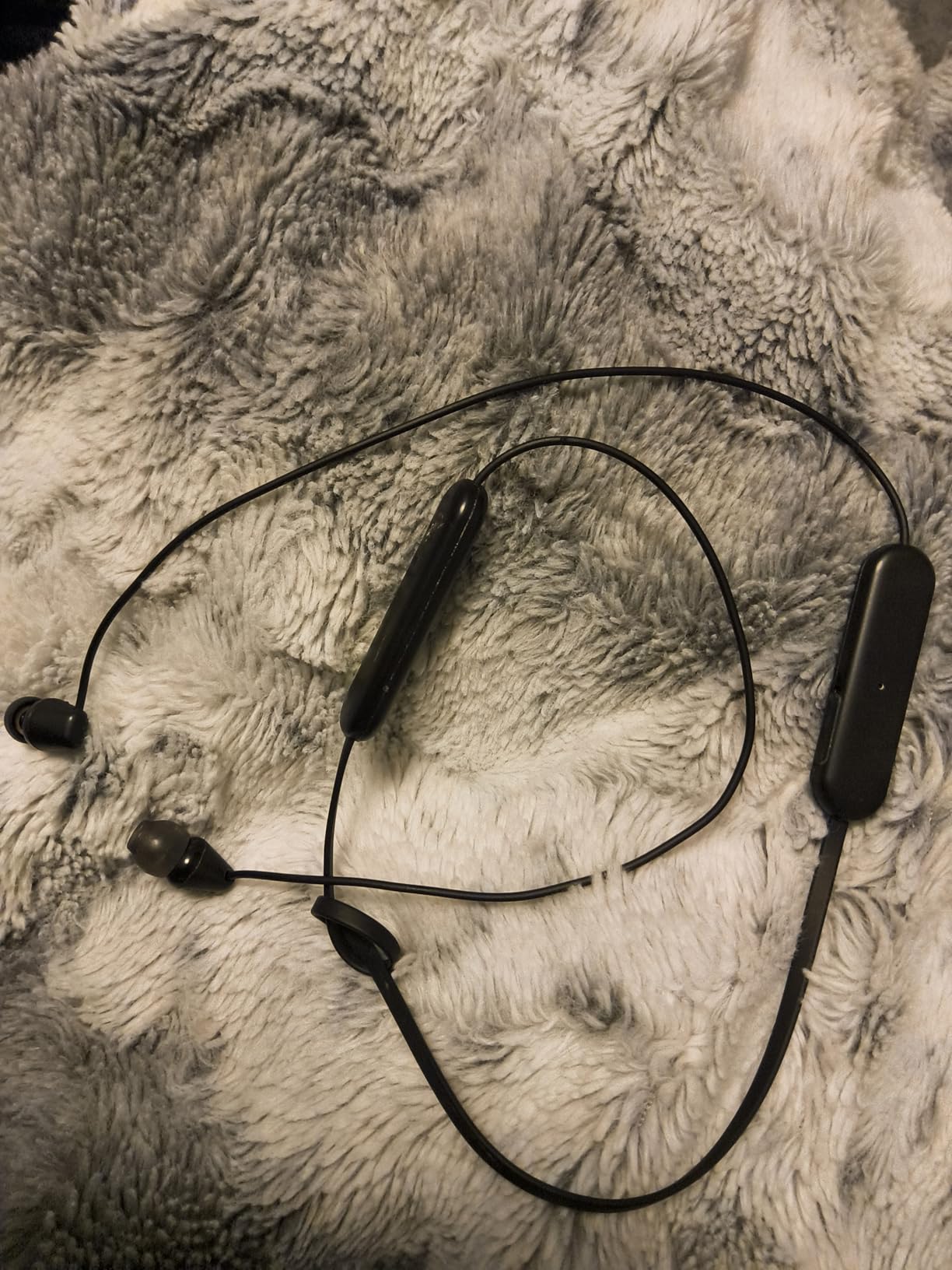 Sony WI-C100 Wireless in-Ear Bluetooth Headphones with Built-in Mic, Black customer photo 1