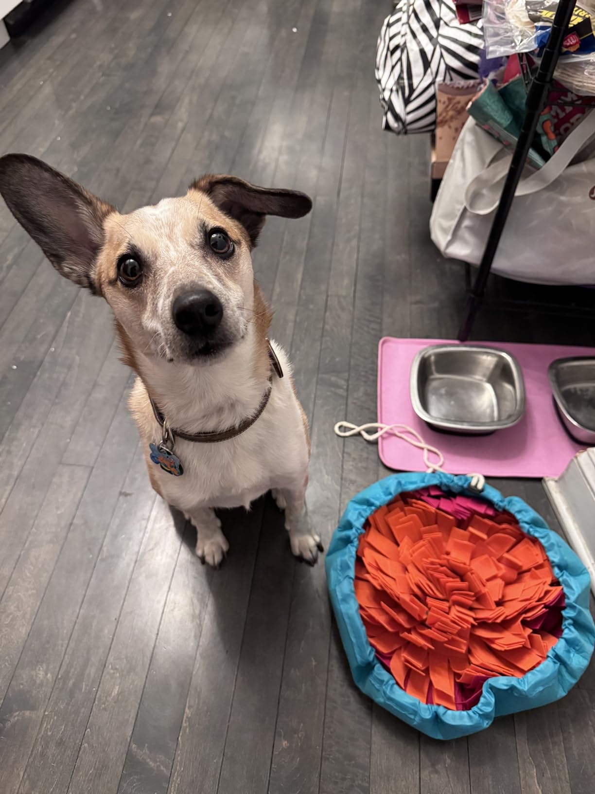 Vivifying Snuffle Mat for Dogs, Interactive Sniff Mat for Slow Eating and Keep Busy, Adjustable Dog Digging Toys Encourages Natural Foraging Skills and Mental Stimulation customer photo 2