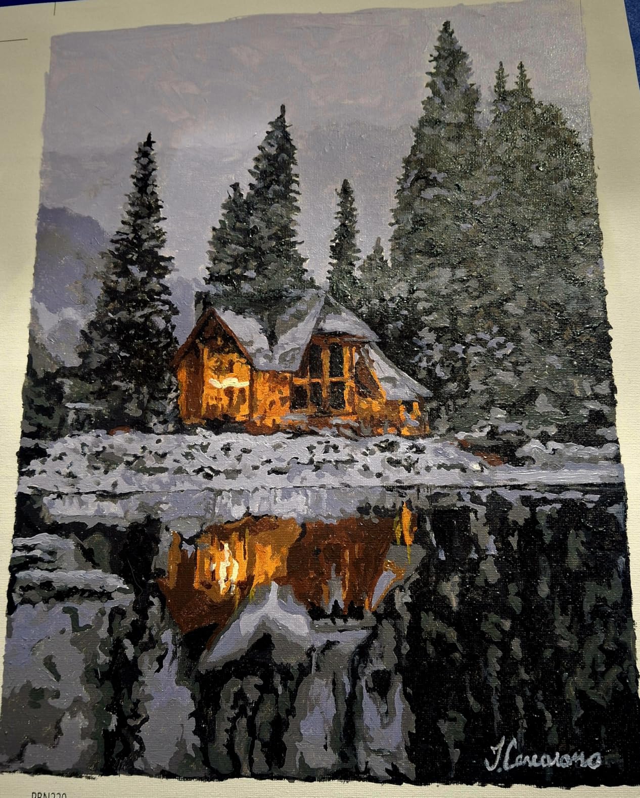 BAISITE Paint by Numbers Kit for Adults Beginners,12