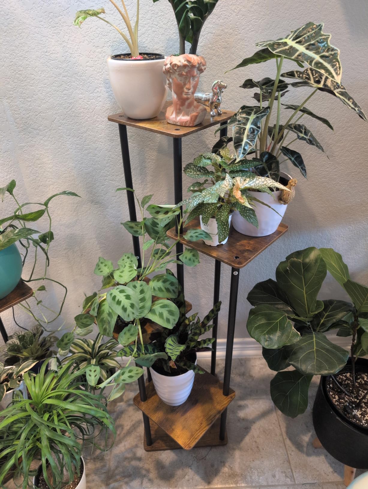 AZERPIAN 5 Tier Tall Plant Stand Indoor Corner Tiered Shelf Metal MDF Board | Sturdy Metal Frame, Space-saving Tiered Design Display Multiple Plants, Modern Style for Home, Balcony, Office Black+Rustic Brown customer photo 2