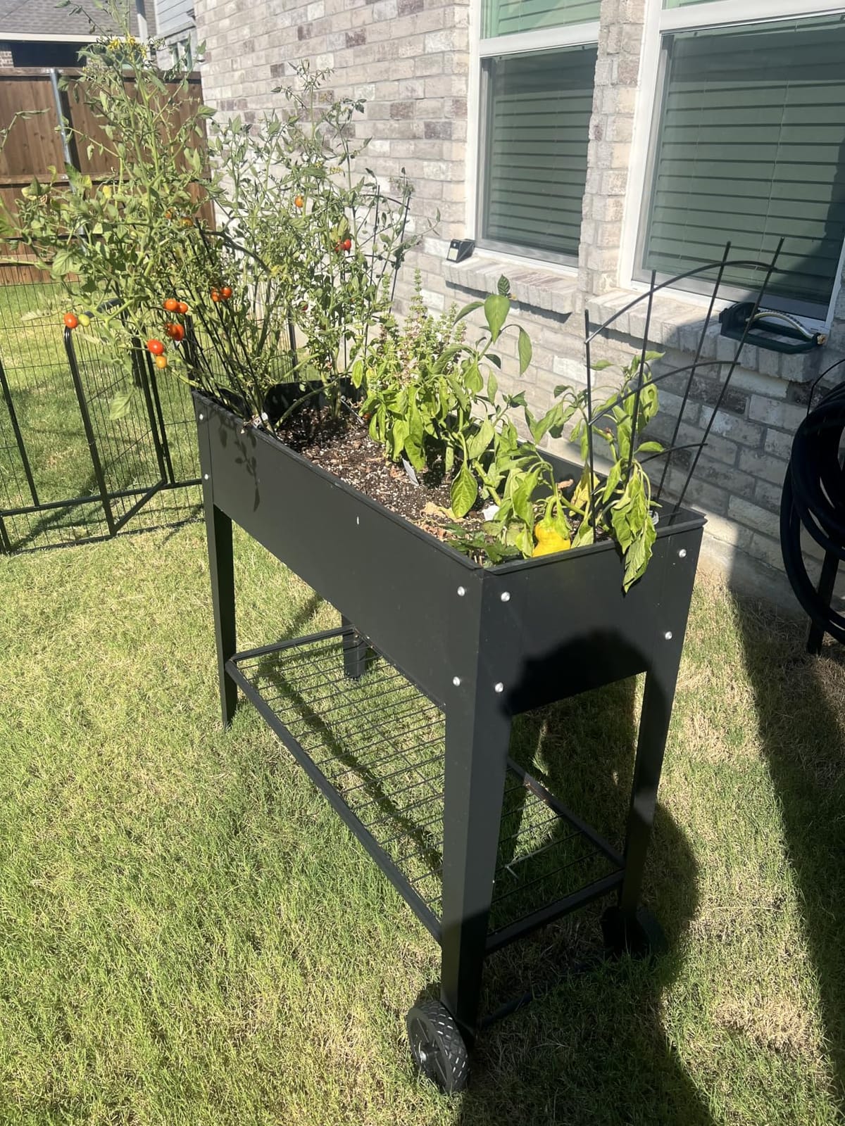 LEETOLLA 32-Inch Elevated Raised Garden Bed with Wheels and Storage Shelf customer photo 1
