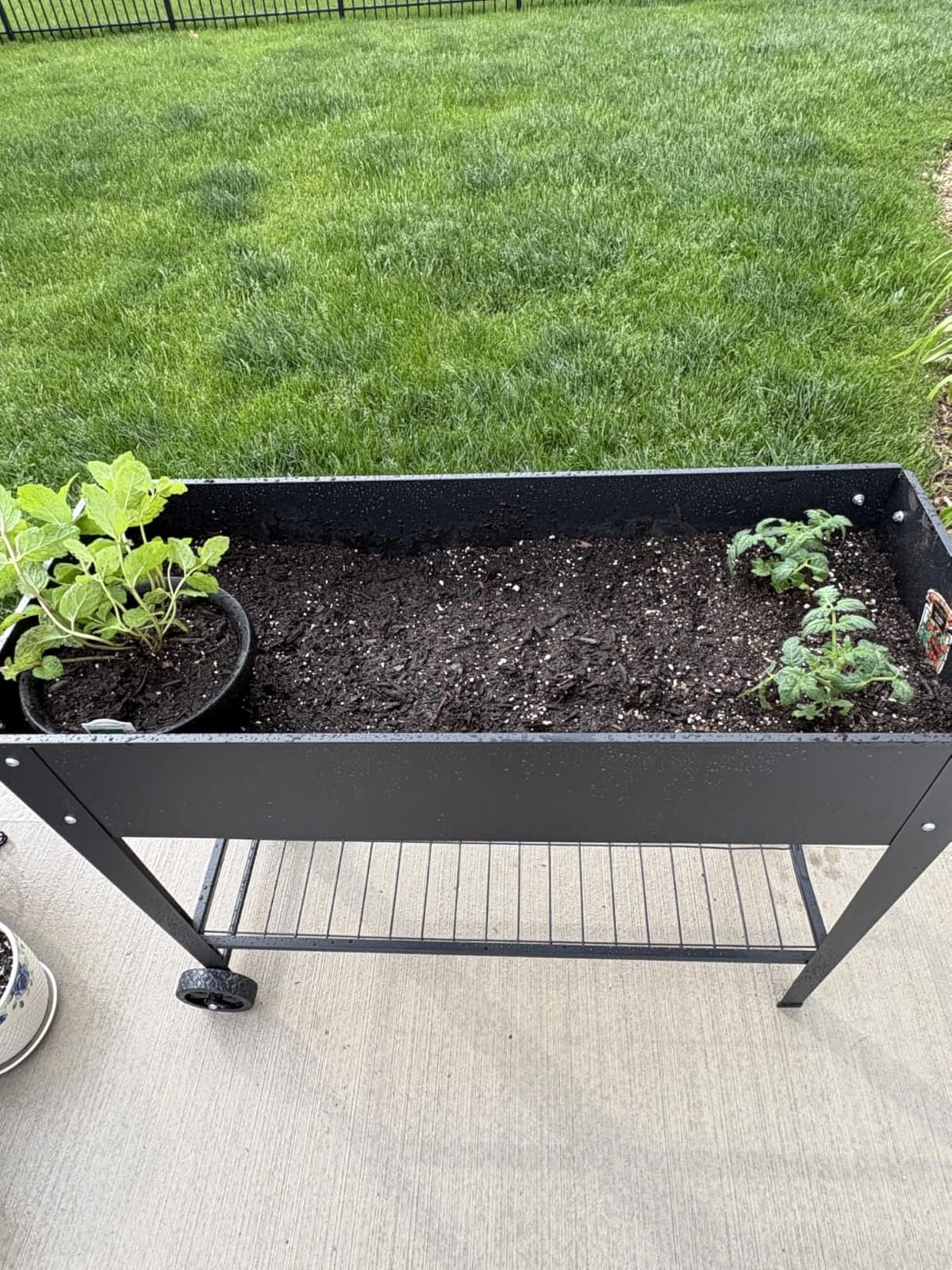 LEETOLLA 32-Inch Elevated Raised Garden Bed with Wheels and Storage Shelf customer photo 2