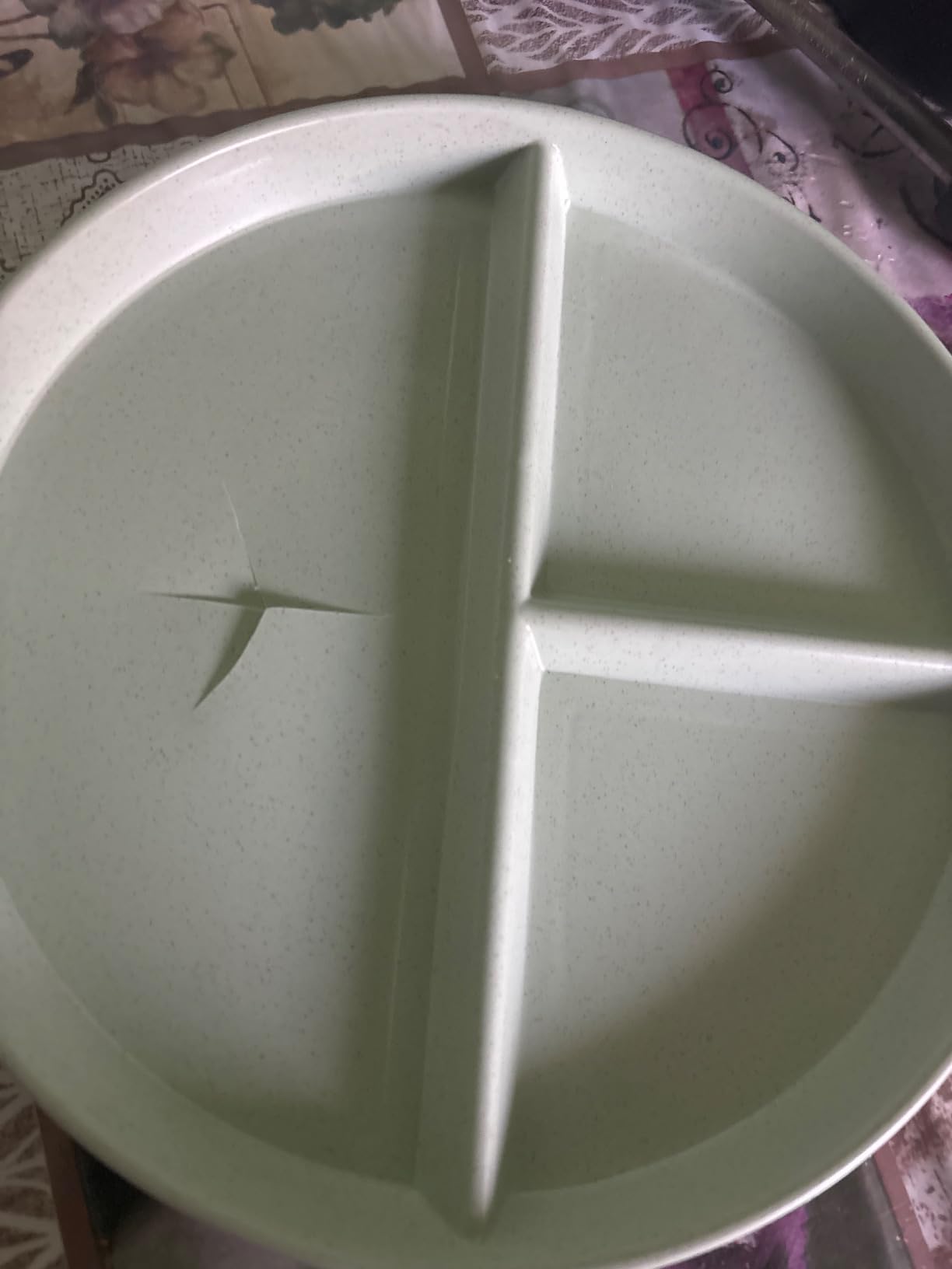 Portion Control Plate For Weight loss 9Inch 5PS, Reusable Wheat Straw Round Plastic Divided Dinner Plates, Microwave And Dishwasher Safe, Suitable For Kids And Adults customer photo 2