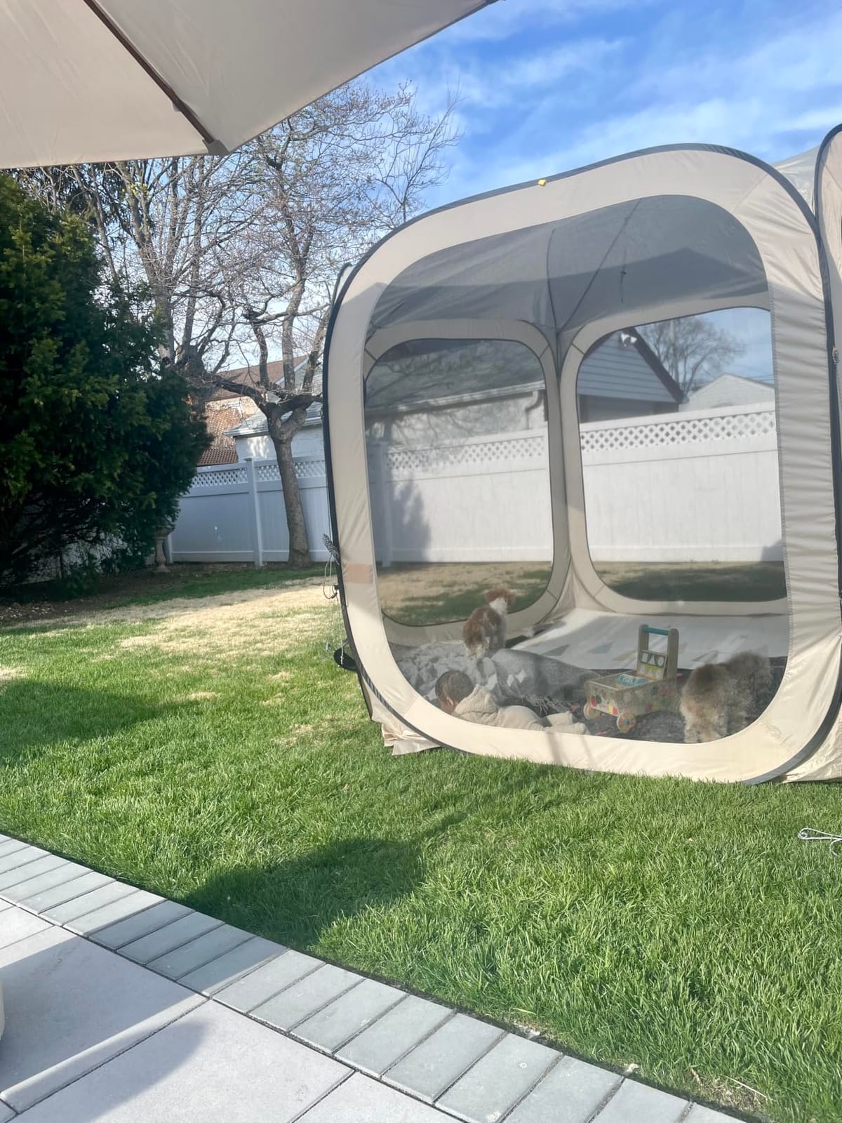 East Oak Pop up Screen Tent with Mosquito Netting, Portable Screen House Canopy Shelter, 10 x 10 FT Instant Screen Gazebo & UPF 50+ UV Protection for Patio, Backyard, Deck & Outdoor Activities, Beige customer photo 2
