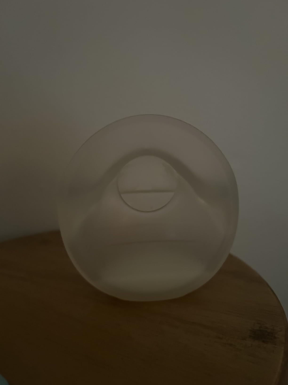 Boon Trove Silicone Manual Breast Pump with Plug - 1 Count customer photo 1