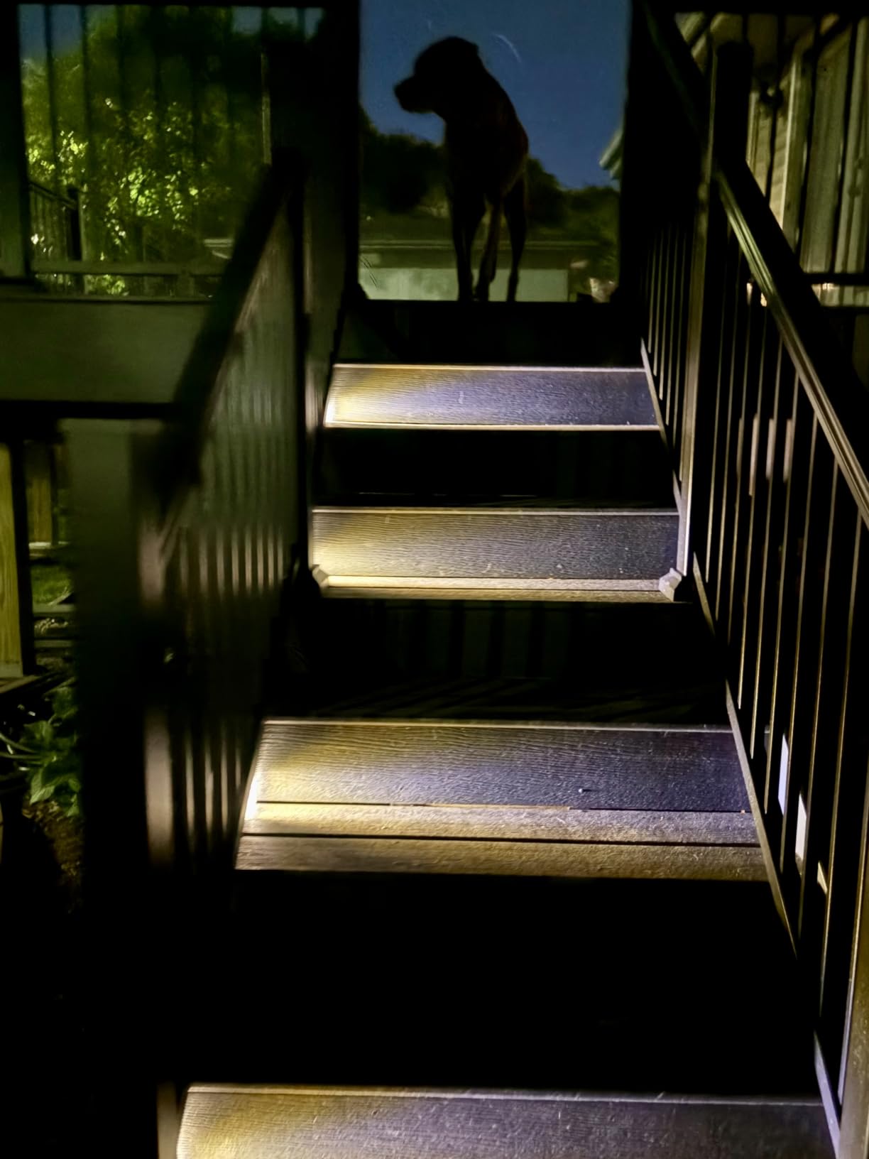 VOLISUN Solar Stair Lights 6 Pack, Solar Step Lights Outdoor Waterproof | IP67, LED Outdoor Step Light, Outdoor Light Decor for Garden Stair, Deck, Front Step, Front Porch, and Patio (3000K) customer photo 2