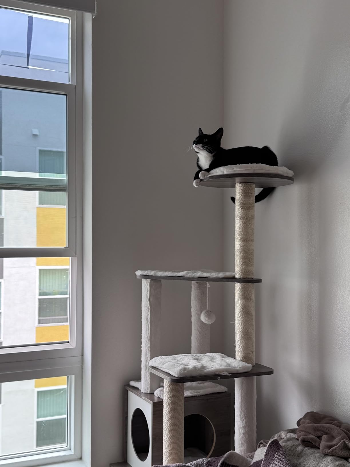 Feandrea Cat Tree, 64.6-Inch Multi-Level Tower with 5 Scratching Posts customer photo 2
