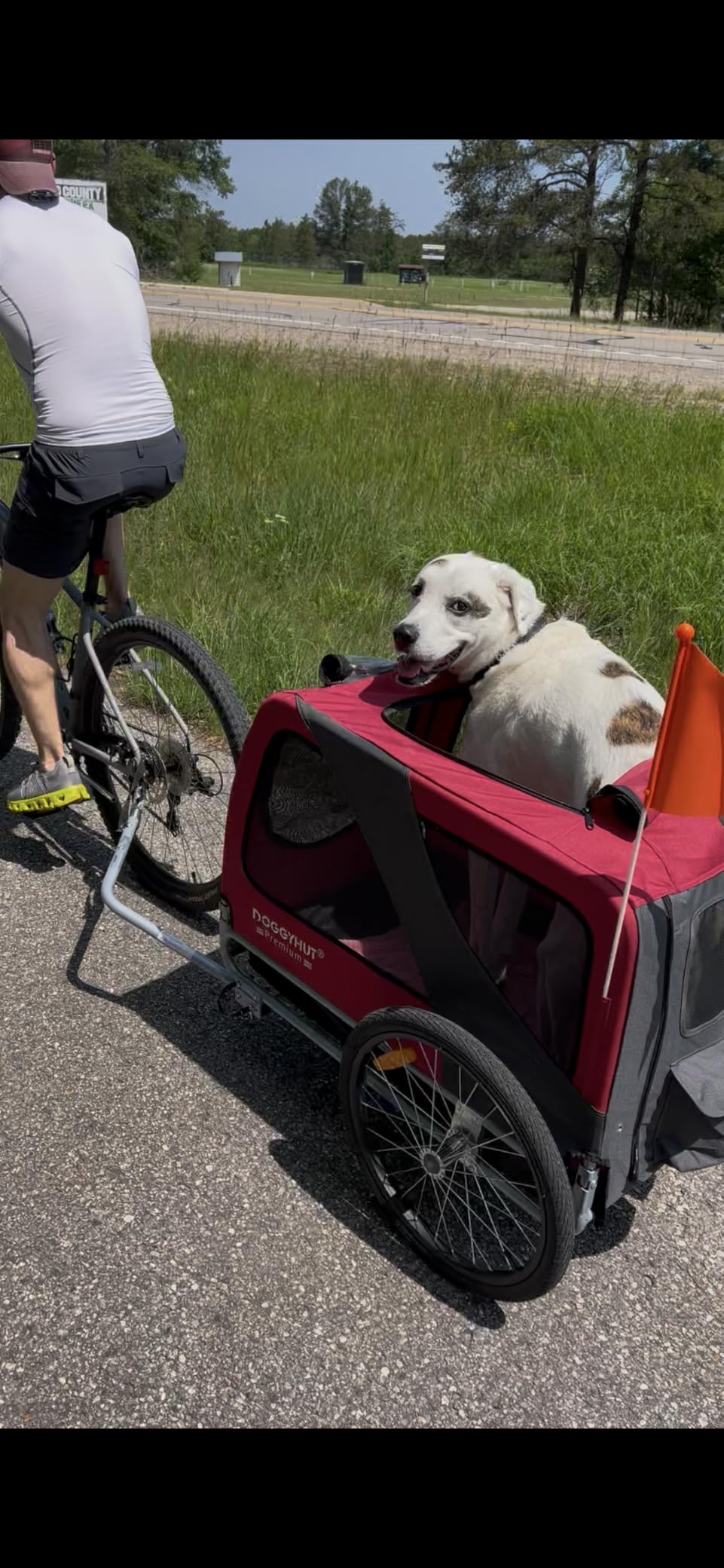 DOGGYHUT® Premium X Large Pet Bike Trailer Up to 100 lbs (Gray) customer photo 1