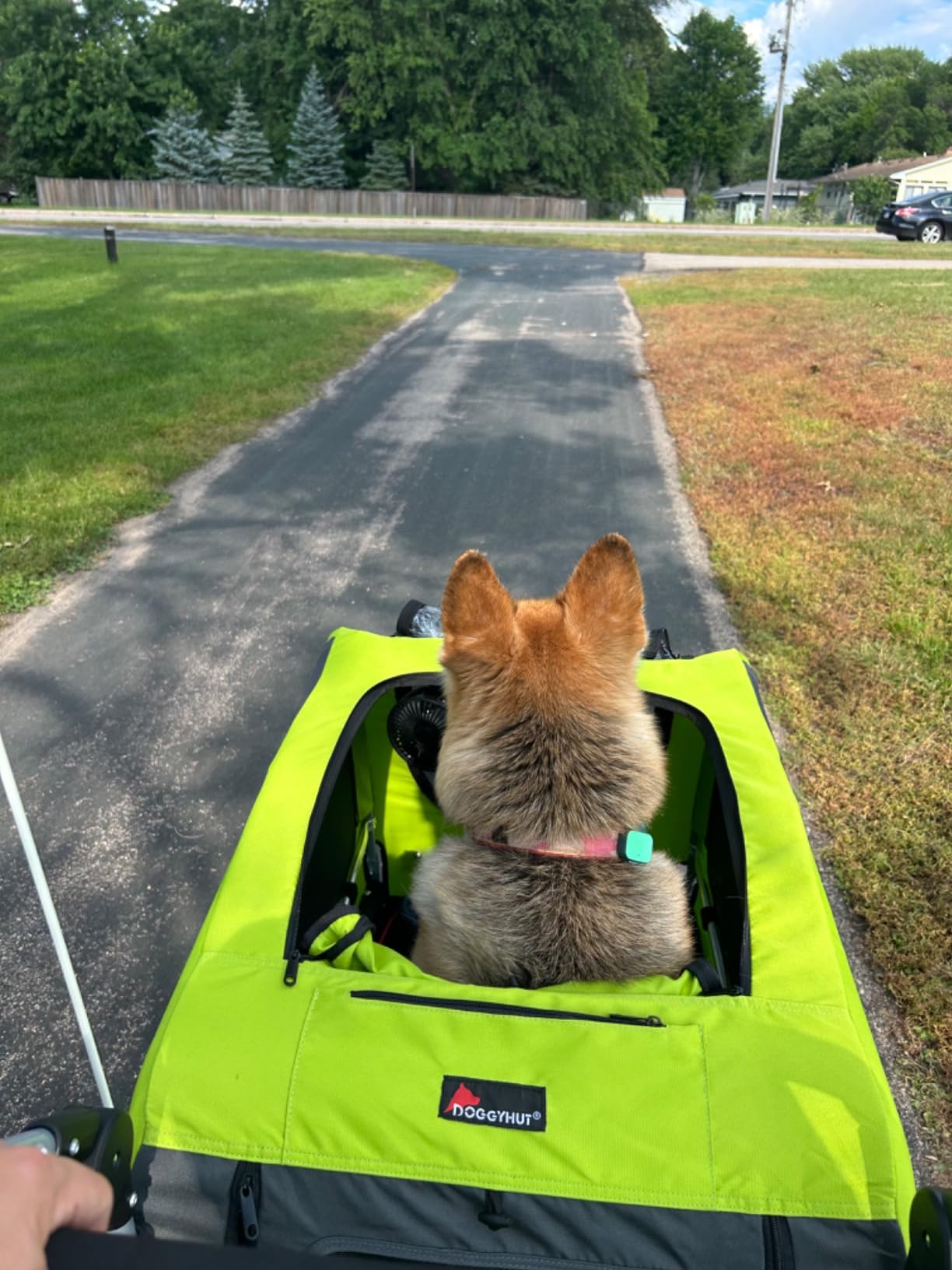 DOGGYHUT® Premium X Large Pet Bike Trailer Up to 100 lbs (Gray) customer photo 2