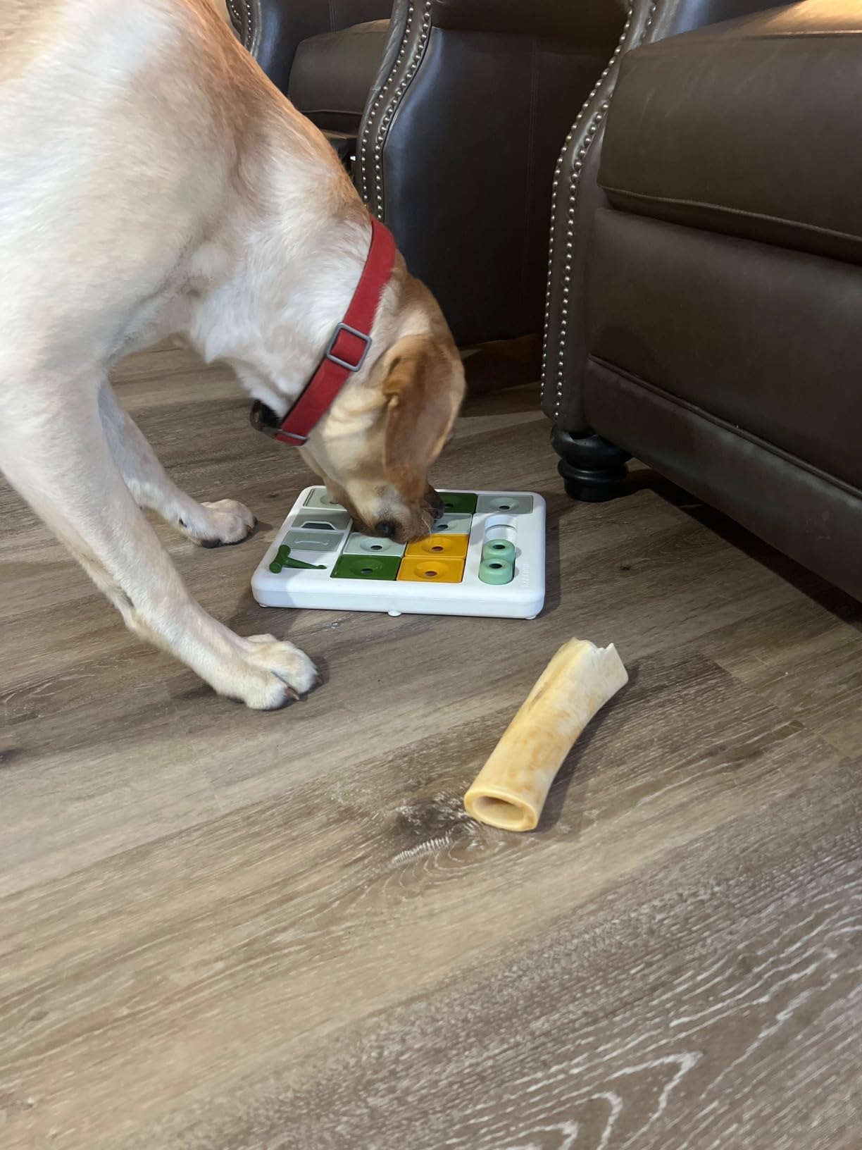 Barkwhiz Dog Puzzle Toy 3 Levels, Mental stimulating for Boredom and Smart Dogs, Treat Puzzle for All Breeds Dog customer photo 2