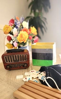 PRUNUS J-180 Vintage Retro Radio Bluetooth Speaker with Stereo Sound BT5.0 customer photo 1