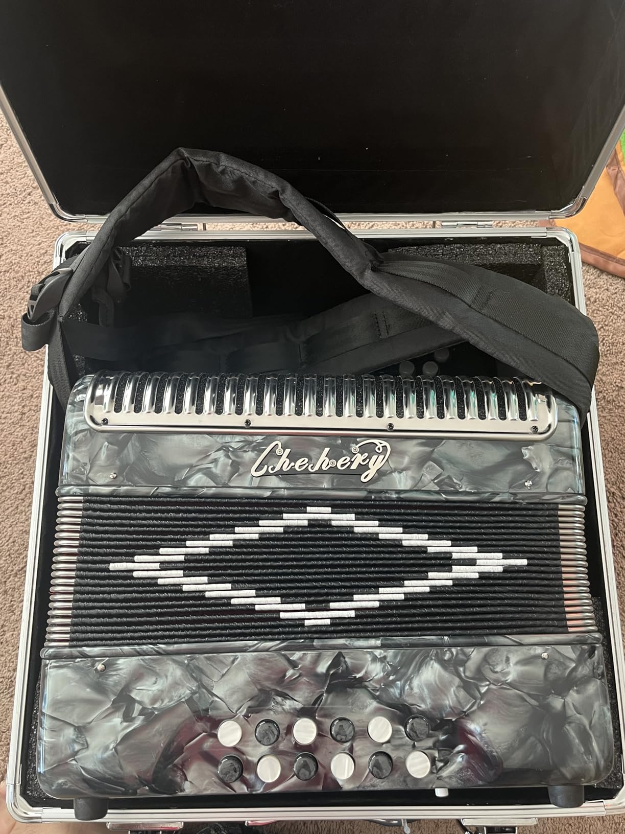 Accordion 31 Key 12 Bass Diatonic G/C/F w Case Strap Gloves Cloth (Black) | Push-Pull Tuned; Ergonomic Keys; Airtight Bellows; Tuned Reeds customer photo 1