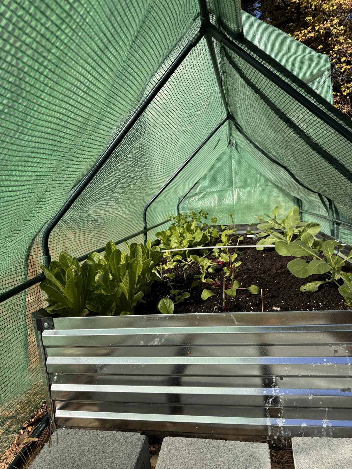 Outsunny 5.9' x 3' x 3' Mini Greenhouse Portable with Zippered Doors White customer photo 1