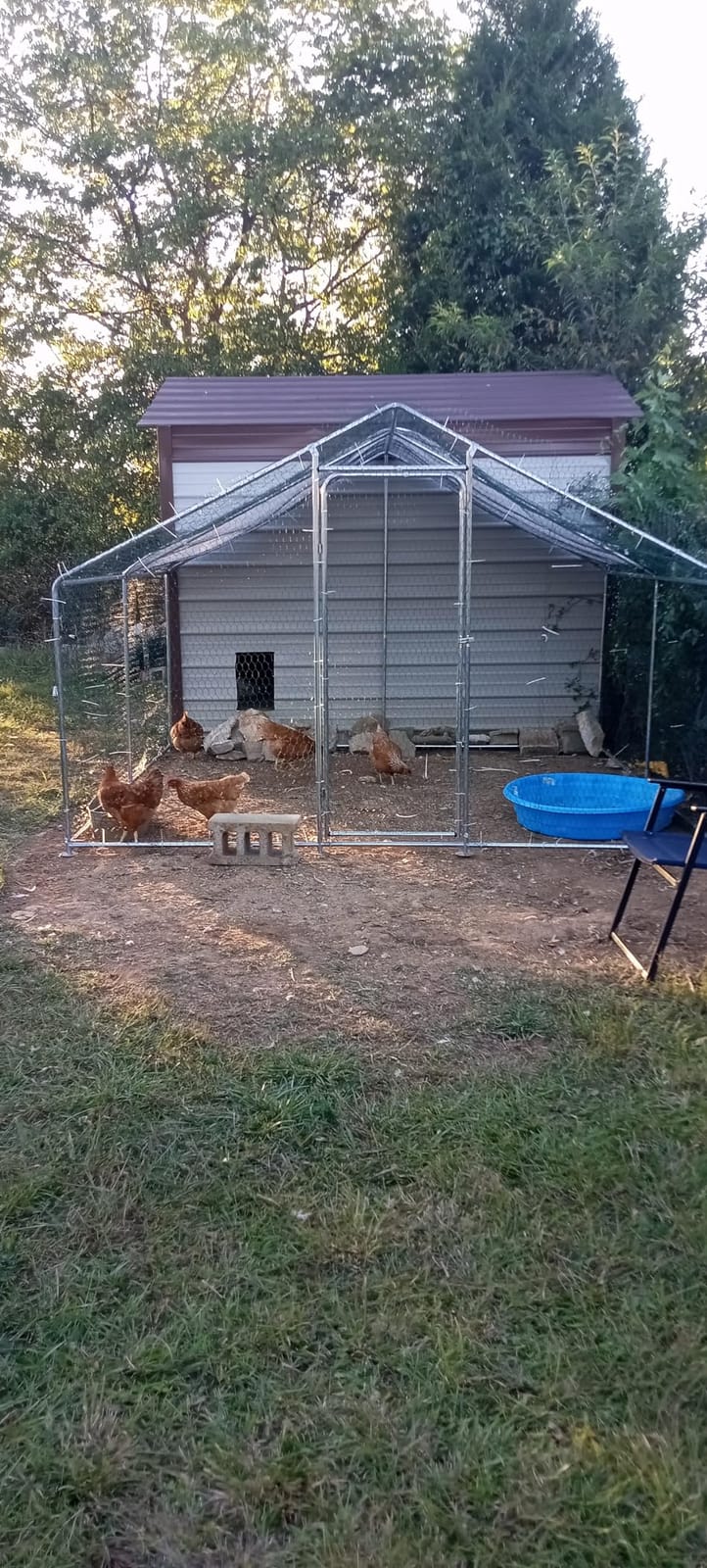 Large Metal Chicken Coop 10x10 Walk-in for 20 Chickens, Predator-Proof customer photo 2