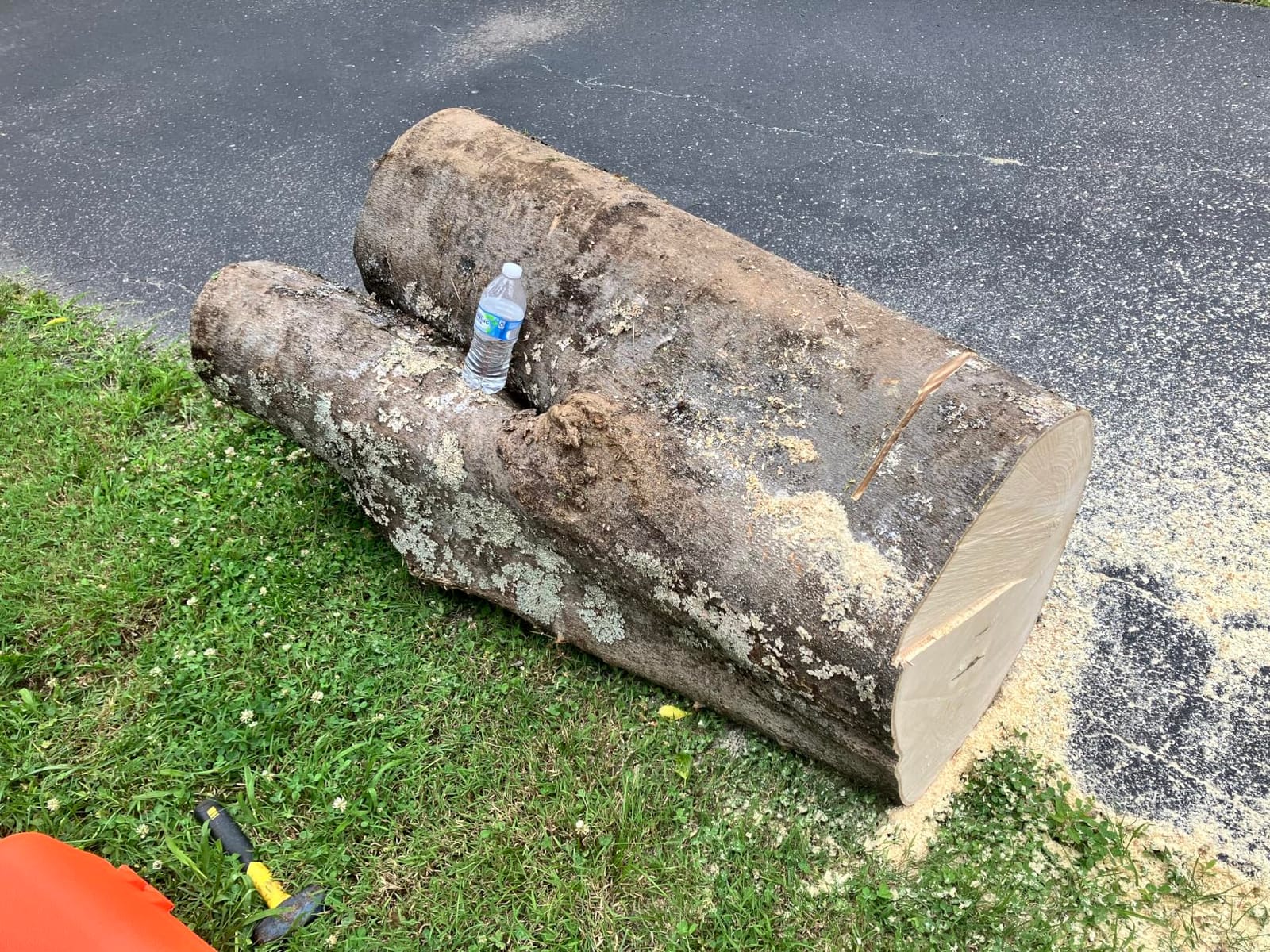 Husqvarna 450 Rancher 20 Inch Gas Chainsaw, 50.2-cc 3.2-HP, 2-Cycle X-Torq Engine, For Tree Pruning, Yard Cleanups and Firewood Cutting, 970613120 customer photo 2