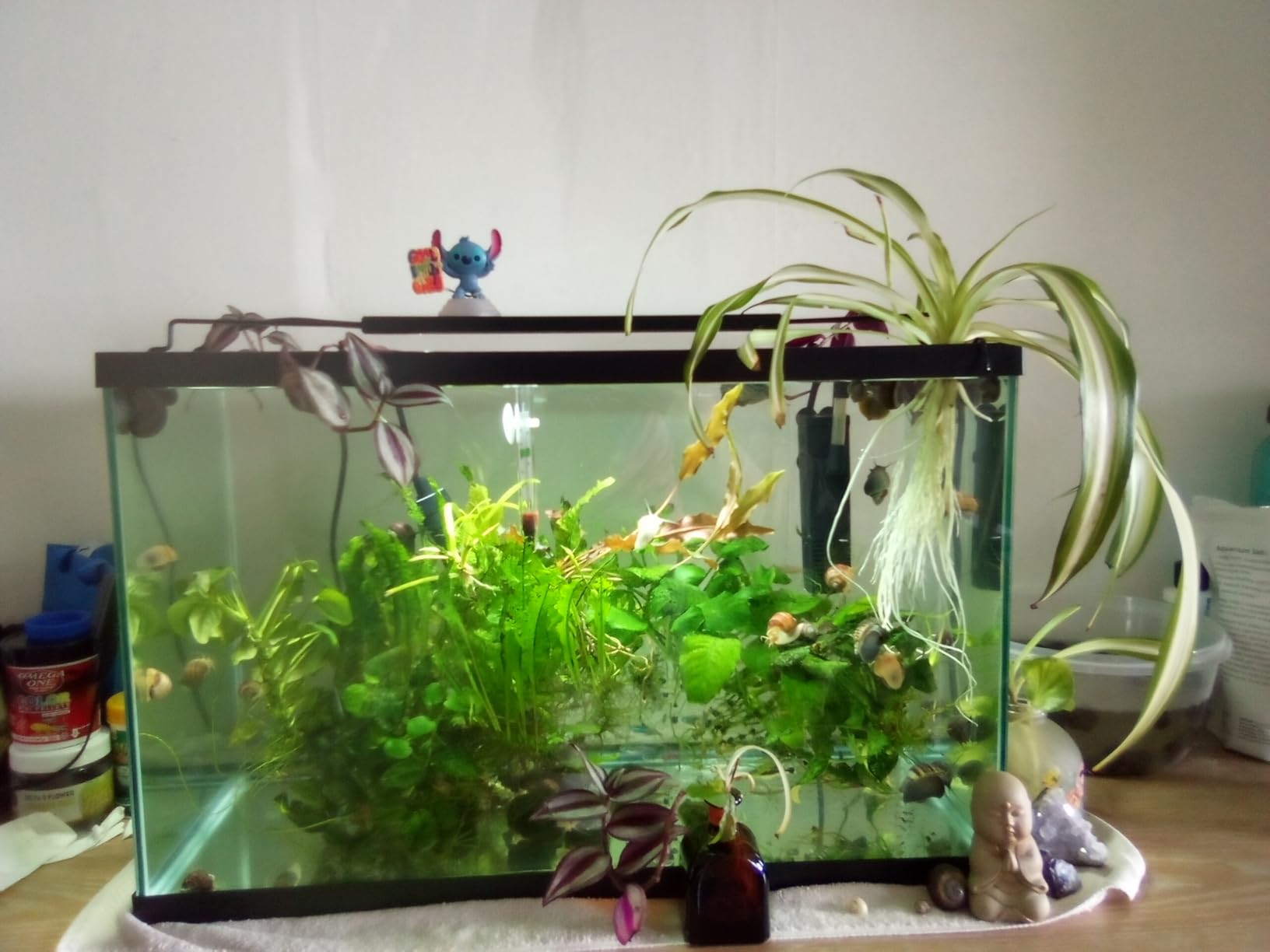 NICREW C10 24/7 LED Aquarium Light, Fish Tank Light for Plants, 30-36 in | 24/7 Natural Light Cycle, 90 CRI RGB+W Full Spectrum, Customizable Lighting Experience, Plant-Friendly Light Output customer photo 1