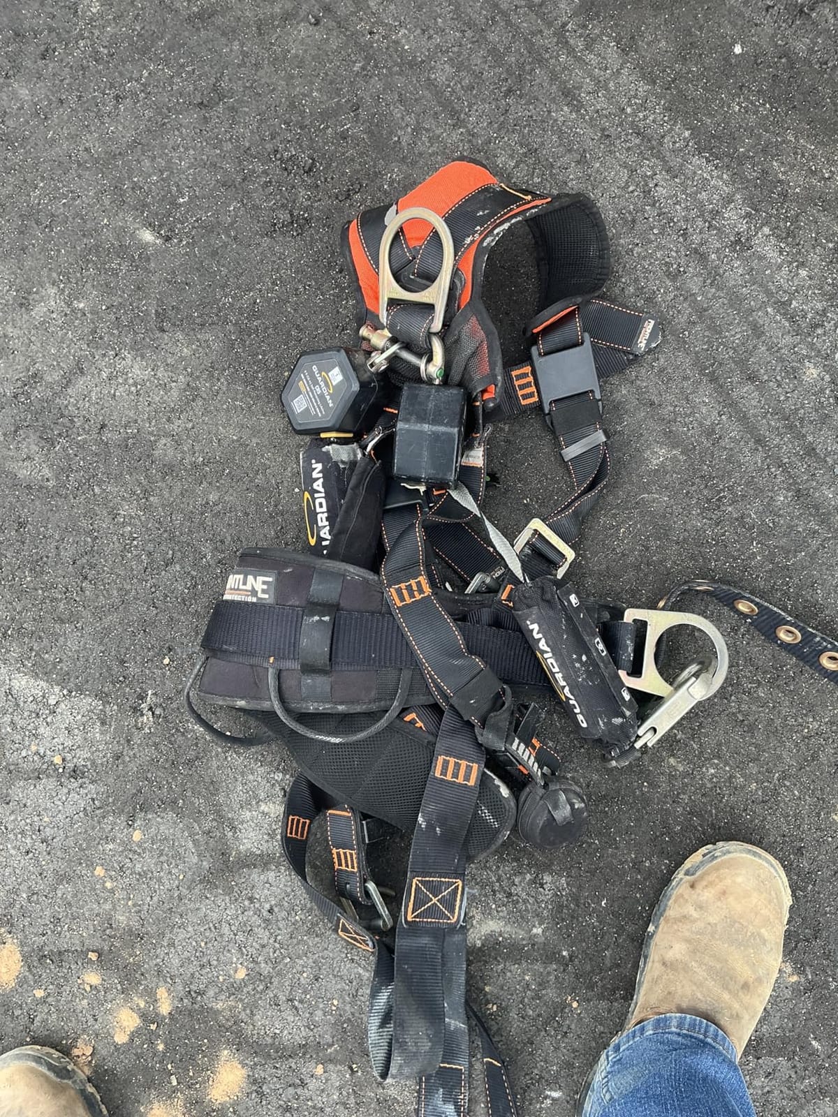 Palmer Safety Full Body Harness with 5 Point Adjustment, Dorsal D-ring, Grommet Legs, Two Side D Rings, and Fall Indicators customer photo 1