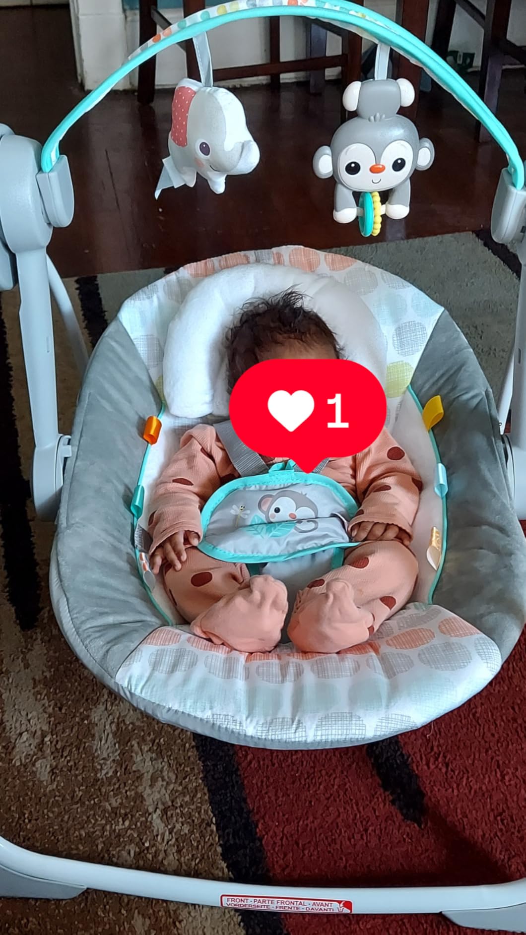 Bright Starts Portable Electric Baby Swing, Newborn to 9 Months customer photo 2