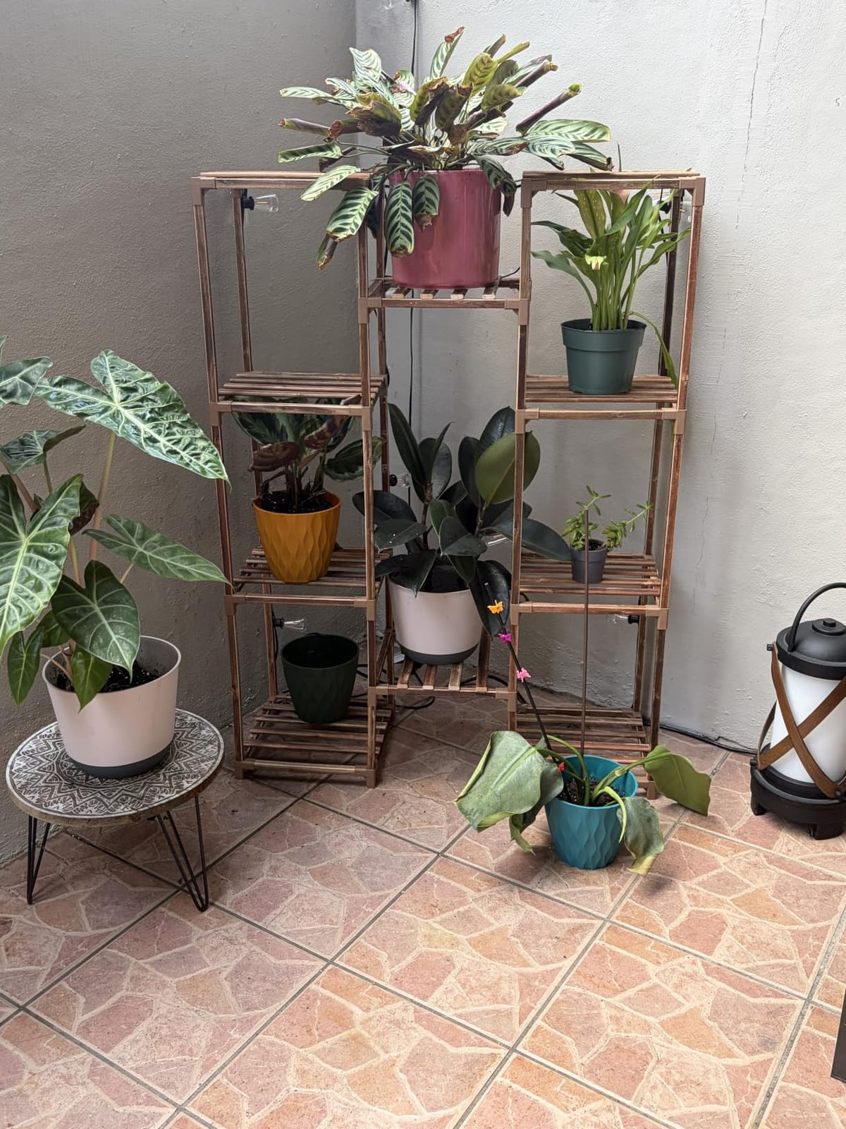 Bamworld Plant Stand Indoor Outdoor Tall Plant Shelf for Multiple Plants Pots Wood Flower Stand Large Flower Holder for Living Room, Patio, Balcony, Garden Decor, Brown customer photo 1