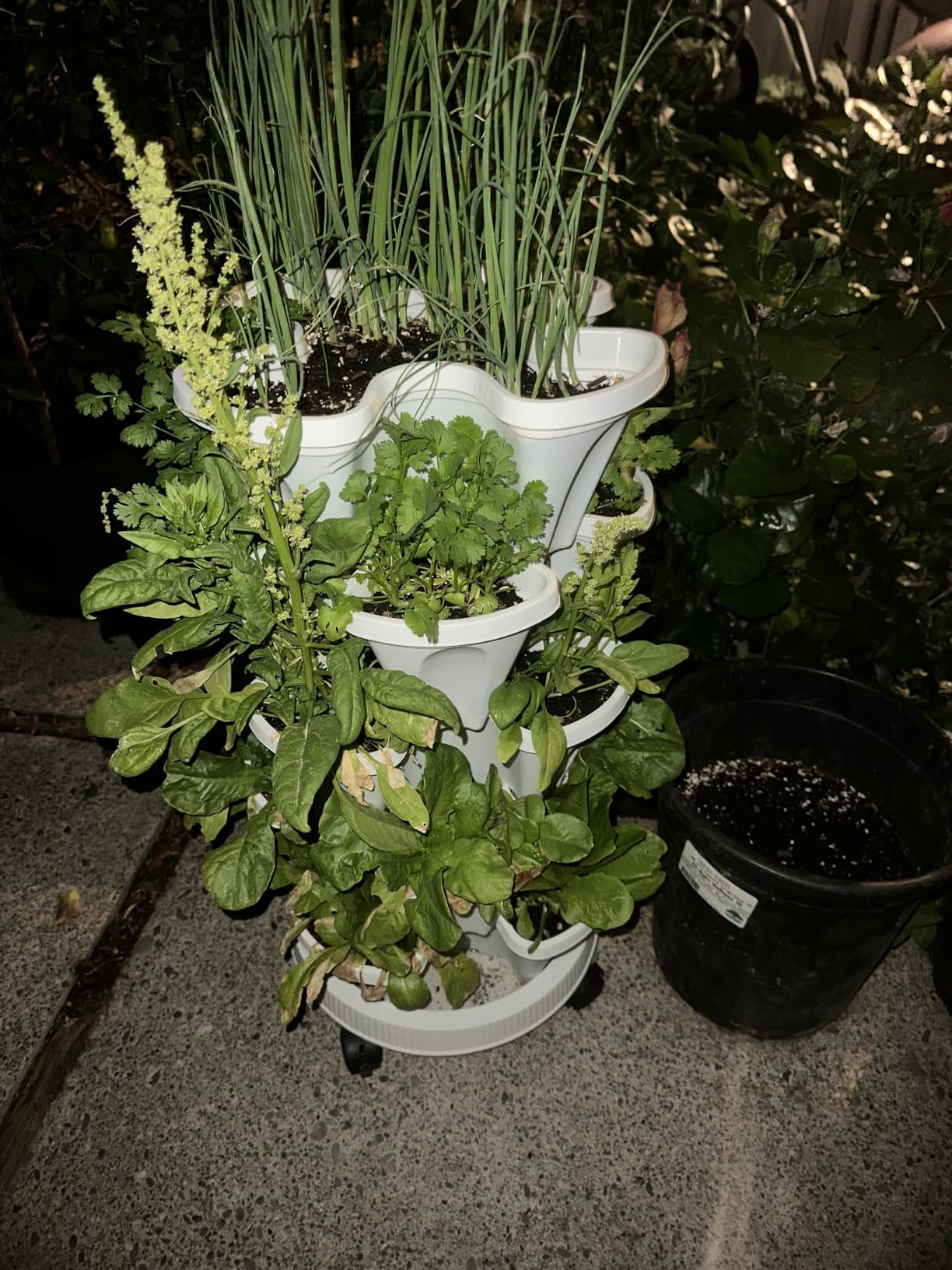 GameXcel Vertical Planter Tower - 5 Tier Stackable Garden Planters with Wheels and Tools Plant Pots for Strawberry Herb Flower and Vegetable Indoor Outdoor Use Gray customer photo 1